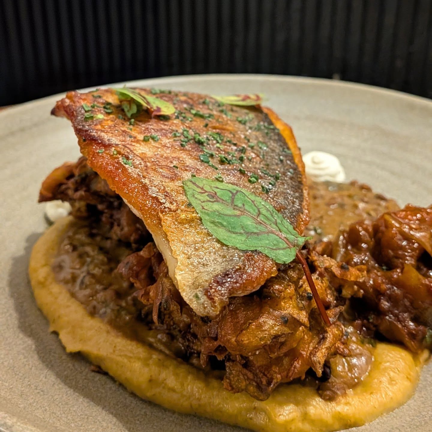 Pan fried Sea Bream, Black Lentil Dahl, Caramelised Cauliflower, Labneh, Tomato & Ginger Chutney #bristolfood #SeaYouNextTuesday #breamingwithjoy