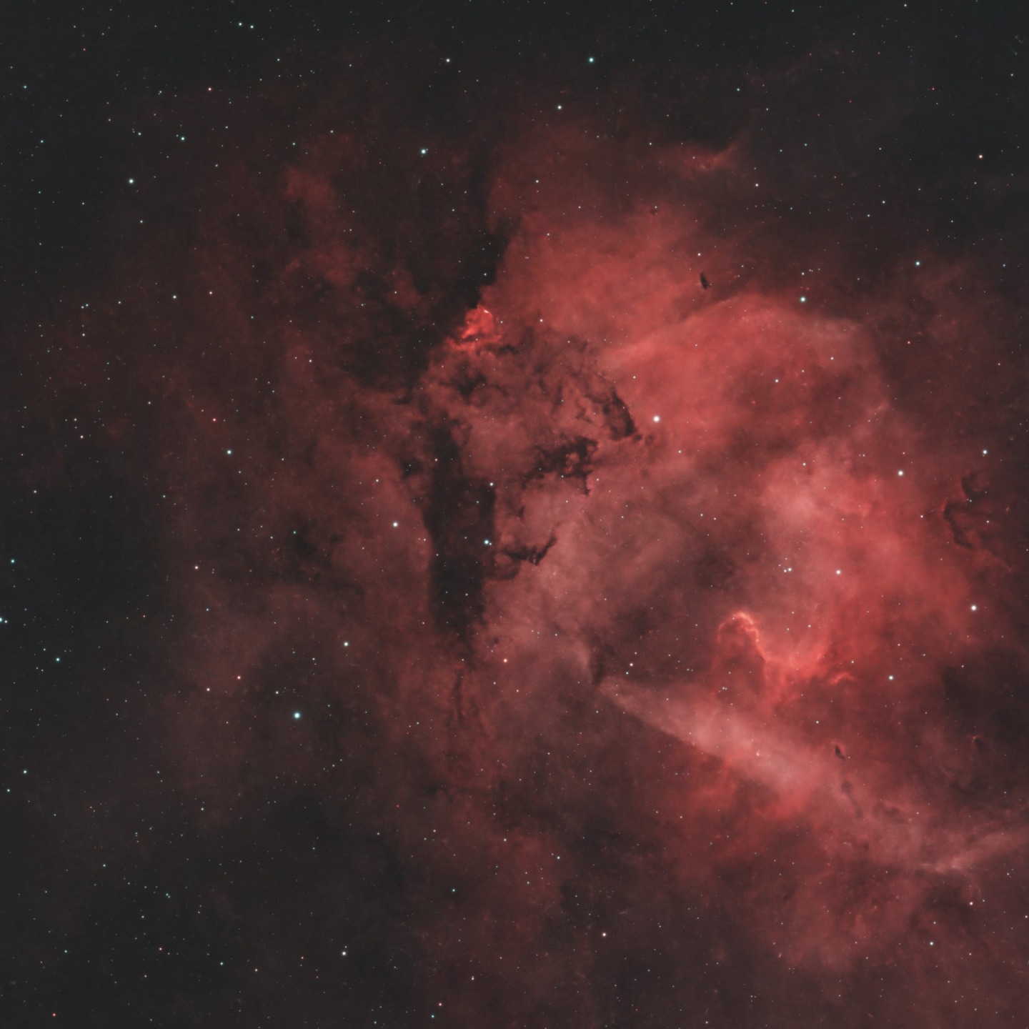 Detail of the Sh2-132 Lion Nebula located about 10,000 light years away in the constellation of Cepheus.
I mis-aligned my telescope and so didn't frame the body correctly so had to centre on the head 🤦♂️
#astrophotography
