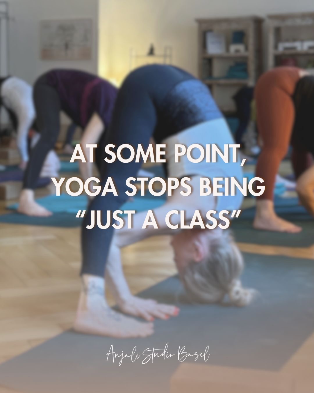 This is your sign.
If you’ve been thinking about deepening your practice or stepping into teaching… this is it.
Our Yoga Teacher Training is designed to guide you physically, mentally, and spiritually. Whether you want to teach or simply transform your own life.
All details are on the website - link in bio. 🔗
Our teachers are looking to go on this amazing path with you. @divinegraceyoga @itssaviyoga @theanatomyschool
✨