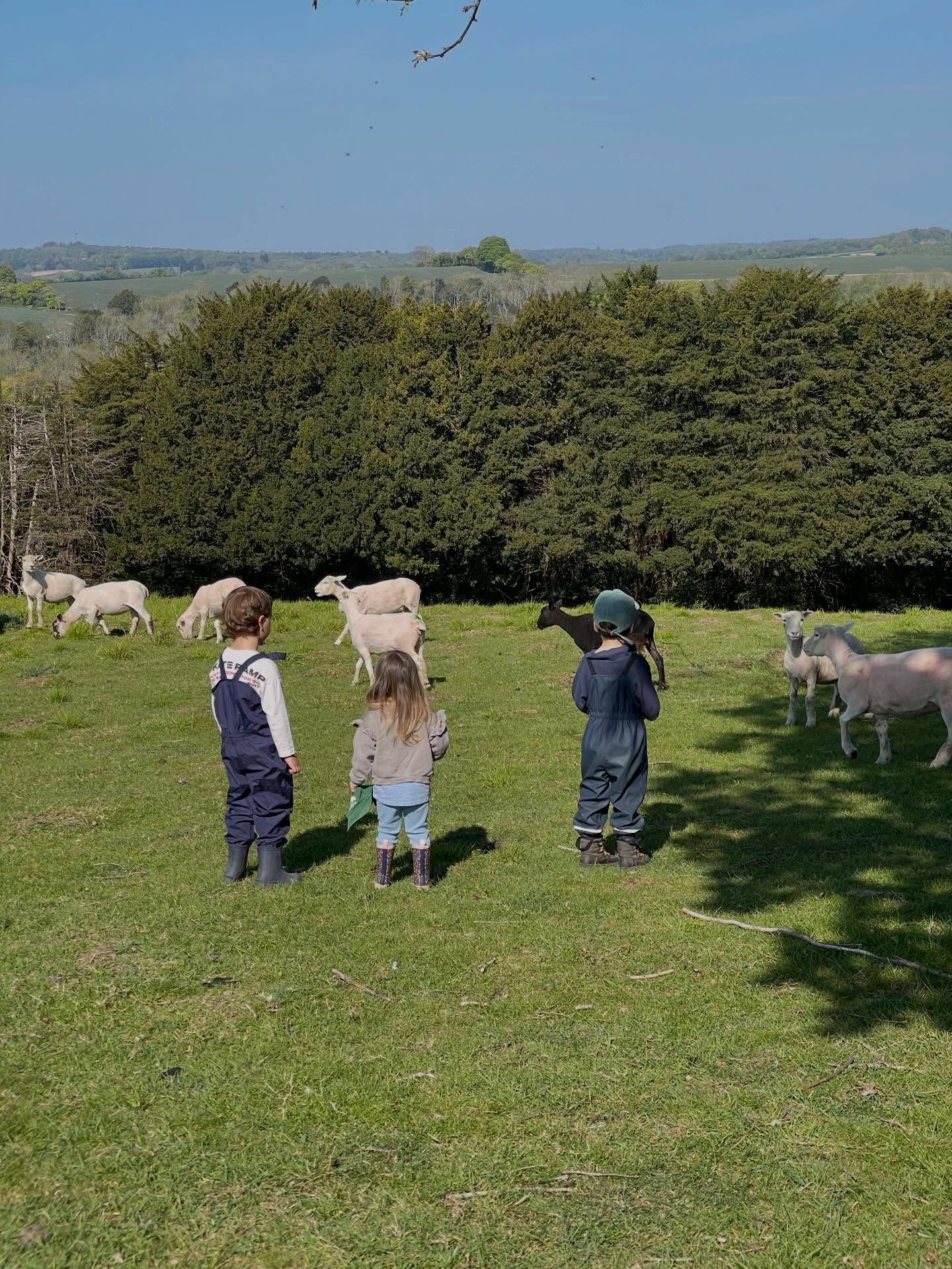 We looked for signs of spring and noticed the sheep have lost their fleeces, on our way to Monday Forest School. We are enjoying searching for woodlice, ladybirds and snails. Also making dens, climbing and relaxing in our hammocks, which always ends in singing. As we settle in, familiar water colour painting, looking at books and the mud kitchen is a popular place to be. We welcomed new children and a lovely new forest school assistant. There is no rushing, just time to be in the forest. 🌳🌲🌳☀️
#independentplay#childledplay#forestschool
#henleyparents#marlowparents