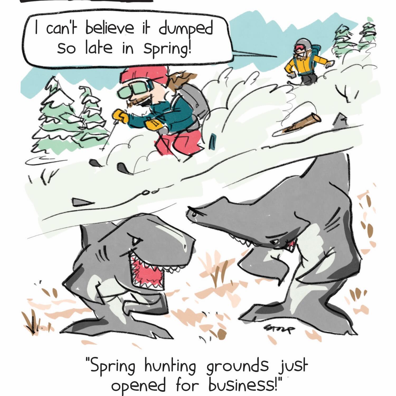There’s blood in the water
#springskiing #lowtide #sharks #lateseason #freshsnow