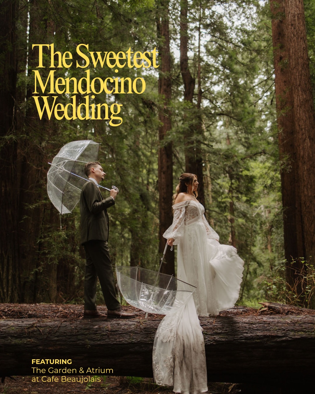 First we love, then we dine 🤍
Anna & JD, thank you for celebrating with us. It was an honor to be part of your evening.
#IntimateWedding #WeddingInspo #JustMarried #Mendocino #NorthernCalifornia
📷: @madelinecaldwellphotography