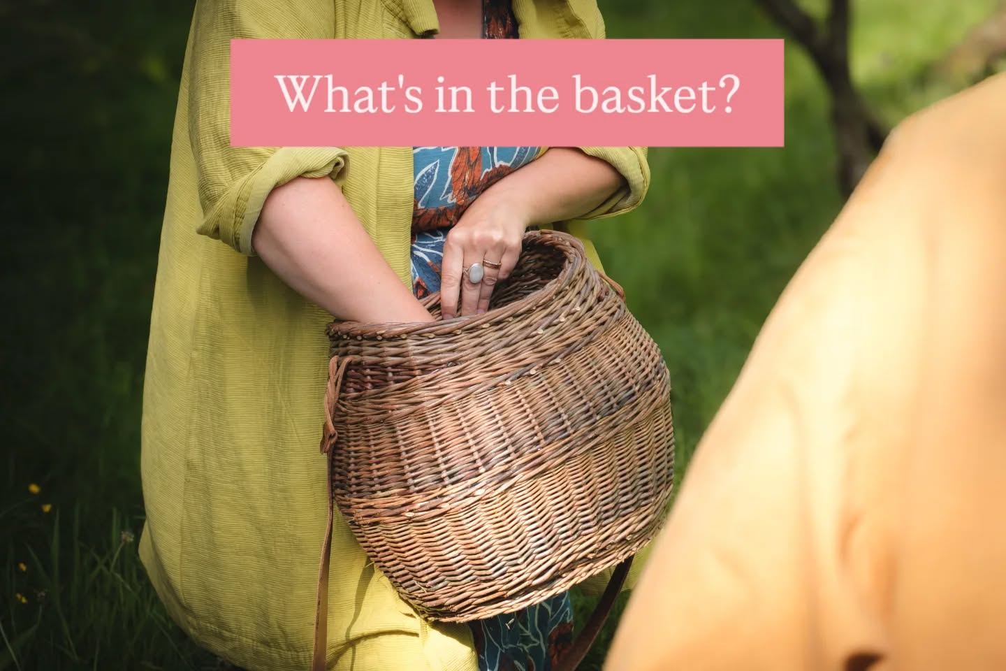 If you find yourself asking these questions it's time to come out and see for yourself πππ½π«
Introduction to Spring Foraging π±
North Ballachulish
Saturday 9th May
Introduction to Summer Foraging π
North Ballachulish
Saturday 13th June
Both Β£45 pp including a drink and sweet snack π booking on my website or PM me for the link!
π· @ruebenjc for @fevertreemixers as part of a wonderful event with @blackthornsalt last year