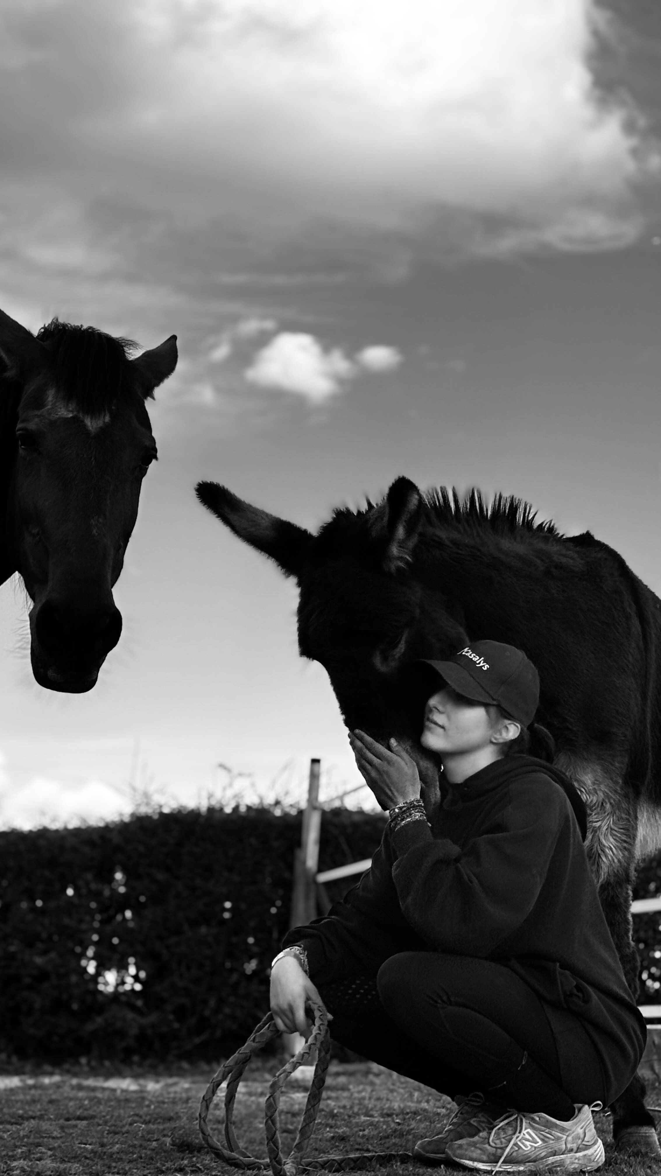 #portrait
Voilà déjà plus de 15j que Marine, #étudiante en deuxième année de #licence #management des entreprises équestre est en stage au sein du @domaine.equestre.dolexia
C’est avec un immense plaisir que je partagerai les 3 mois à venir avec elle 🤗
Marine, qui es-tu ?
🍀Un vrai rayon de soleil
🍀Bienveillante
🍀Attentive
🍀A l’écoute
🍀Dévouée
🍀Ambitieuse
🍀Motivée
🍀Déterminée
🍀…
Une belle #aventurehumaine nous attend 🤗