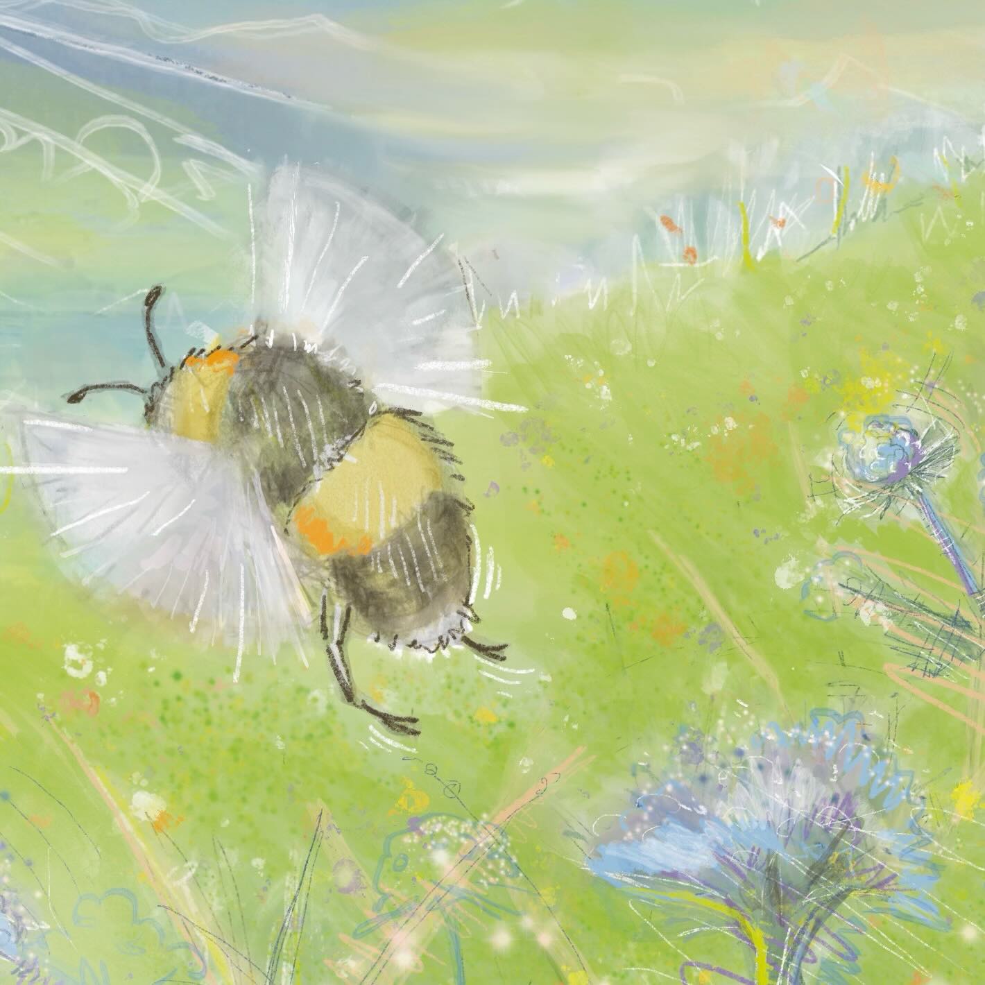 Bees are quite possibly the noisiest ambassadors for quiet you’ll ever meet. Also how is this body airborne? I have been trying to work out the anatomy.
I found a perfect one at the Natural History museum last week. So beautiful! Meanwhile, my pencil sketches are less so … work in progress 🐝
-
-
-
#liftoff #beeslife #quietmoment #sketchings #kirstytoddillustration