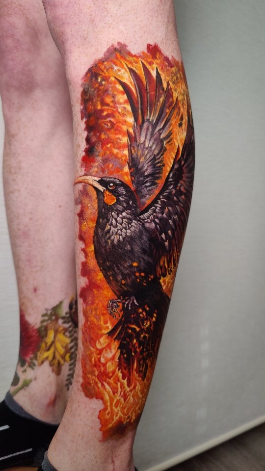 New Zealand's endemic Huia dressed up as Phoenix! I had so much fun doing this tattoo over last two days for Emmalee. Thank you so much for a fun days. Good chats and great times overall!
...
.
@intenzetattooink @eztattooing @ghostlineapp @afterart.newzealand @inkpro_nz @fkirons @hustlebutterdeluxe #intenze #intenzeink #intenzeteam #afterart #ghostlineapps