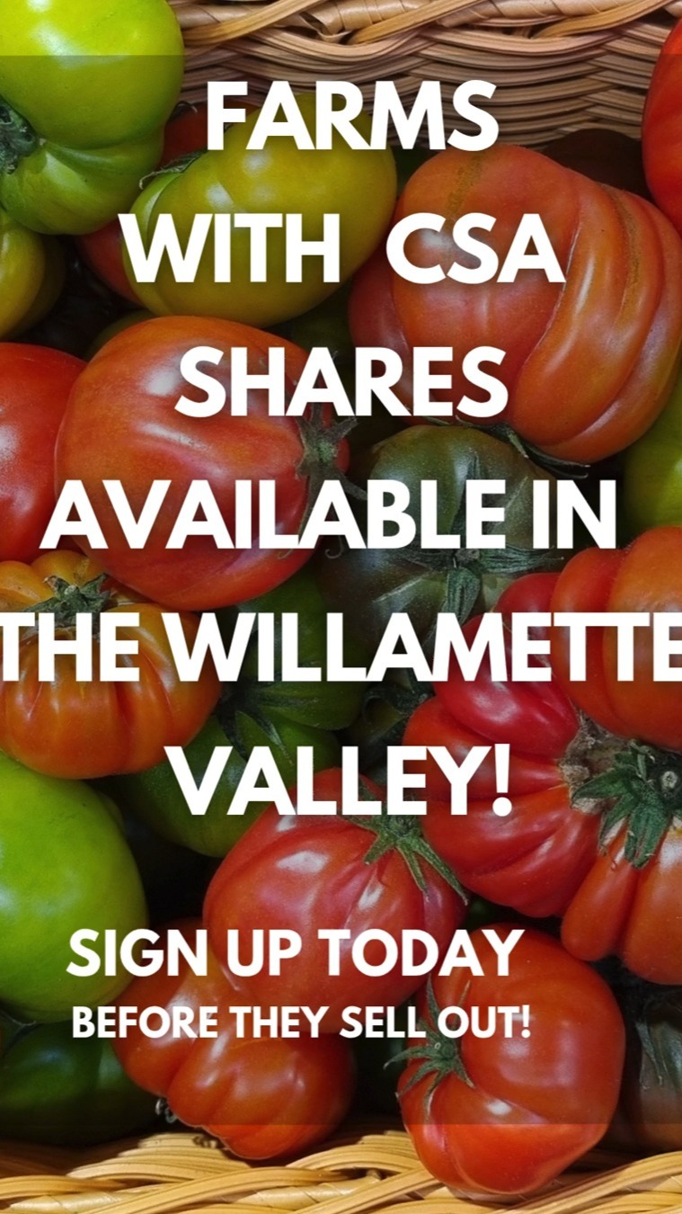 Still looking for a CSA in the Willamette Valley? These farms still have shares.
If joining a CSA has been on your mind, there’s still time to get in before the season really gets going.
These Willamette Valley farms still have vegetable shares available for the season:
DilleyCommons
@thegroundmarket.love
Immaculate Heart Farm
@laterravita
@fullfarmcsa
@wintergreenfarm
@workinghandsfarm
@upriverorganics
Some farms offer full and half shares, add-ons, flexible pickup options, or SNAP/Double Up Food Bucks access.
👉 Find your farm + sign up: link in bio
#willamettevalley #oregoncsa #eatlocaloregon #pnwcsa #supportlocalfarms #communitysupportedagriculture #eatseasonal #knowyourfarmer #oregongrown #pnwcsa