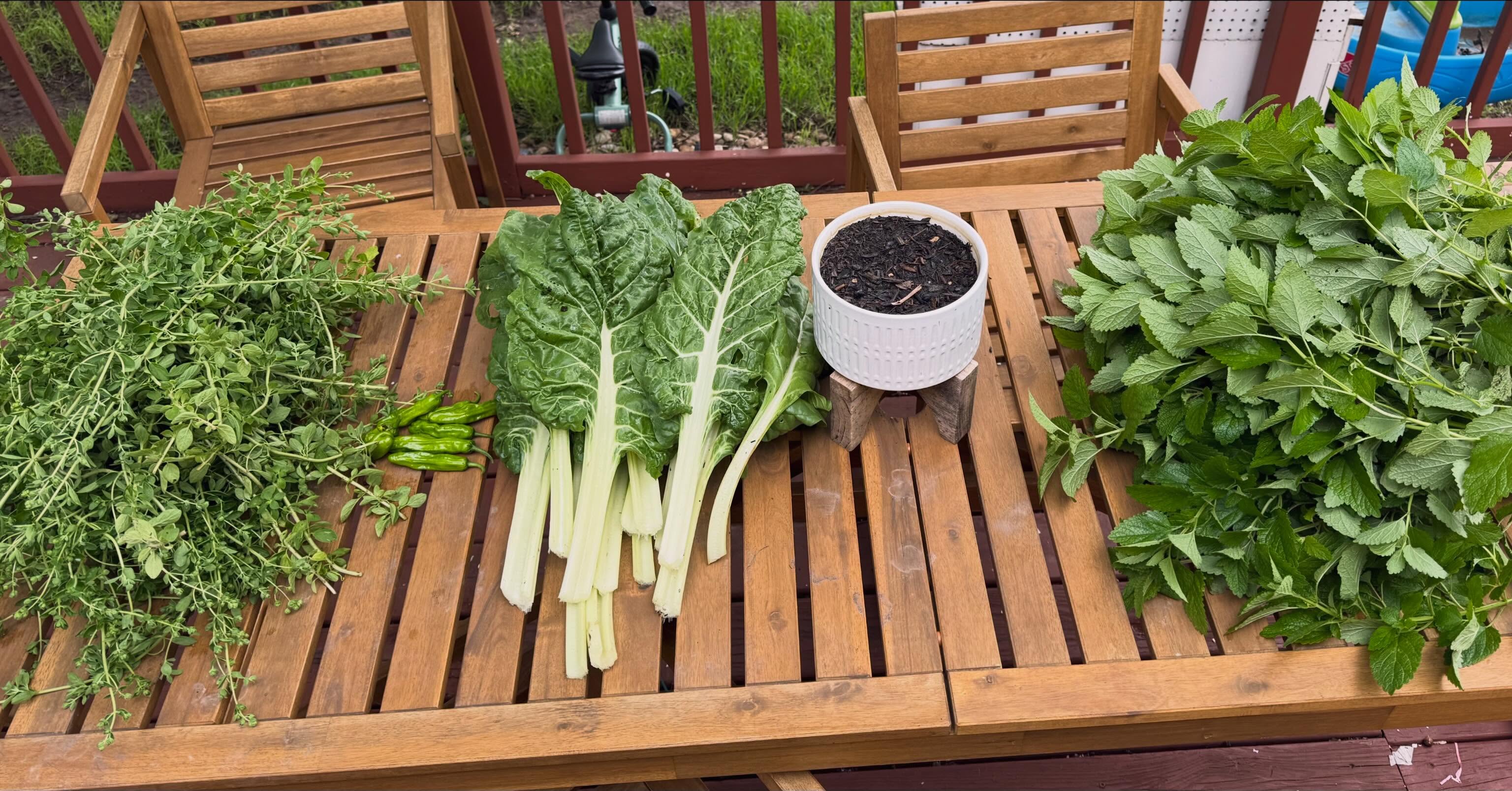 We’re tending the herbs today, letting them dry slow and natural in the air. Lemon balm and oregano are first, with basil, catnip, mint, and lemongrass coming along behind them.
Dinner will carry a bit of the garden too, with Swiss chard and shishito peppers on the table.
Next time you come by, I’ll steep you something warm from what we’ve gathered ♥️