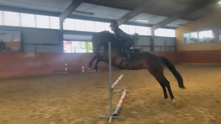 Ungdomsspecialen är ett koncept där eleverna rider varje vecka, vanligtvis samma häst varje gång, samt har hästkunskap varannan vecka. Detta för att kunna erbjuda ett upplägg för de unga elever som vill lite mer💪🏼 Igår fick torsdagens ungdomsspecial börja med kapitlet ”unghäst och hästens utbildning”. Passande nog har vi fått hem fyra gröna hästar från Irland som kan visa upp just detta. På film har vi ridlärare Alva ihop med 6åriga Luna. Eleverna fick lära sig om hur man börjar inridningen av en häst, vilka steg som följer därefter och Luna fick visa uppsittning samt ”inhoppning”. Även Lego 5 år fick vara med i ridhuset. Lego är ganska nyss inriden, därför passade det perfekt att visa longering och enkel ridning i skritt och trav. Kul tycker både hästar och elever🏋️🌸 #afrk #ungdomsspecial