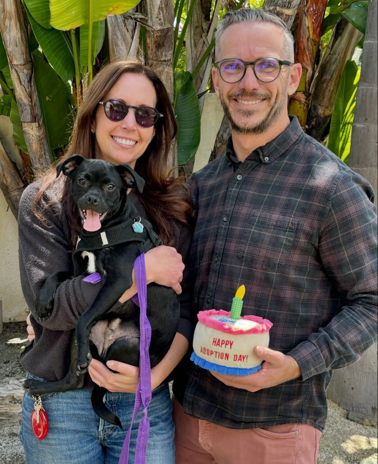 We think Hudson's big SMILE says it all: He was adopted by the most amazing Furever Family today! He has a new fur sibling named River. Hudson & River: couldn't be a better match 💙💙
Our sweet little Lottie also hit the jackpot & was adopted by a wonderful couple & is going to be SO loved & definitely treated like a princess in her new home. 👑💕
Great start as we enter the weekend.. HAPPY FRIDAY FRIENDS! 🐾
#adopted #gotchaday #adoptdontshop #rescuedisourfavoritebreed #almarescue
