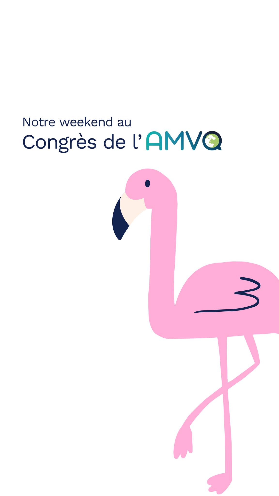 Petit recap de notre fin de semaine au Congrès de l'AMVQ!
🦩🦩🦩
On remercie tout le monde qui est passé nous voir. 💙
À l'année prochaine!