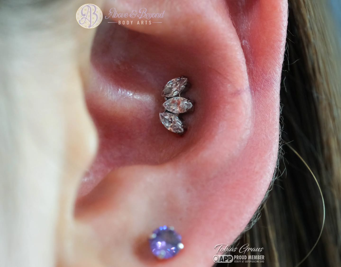 A Conch piercing for Leia by our apprentice Tobias using an @industrialstrengthbodyjewelry Marquise Fan! These are always a stunning choice for conches 🫶
📷: @50percentsnakes
#appmember #conchpiercing #piercing #santabarbara #industrialstrength