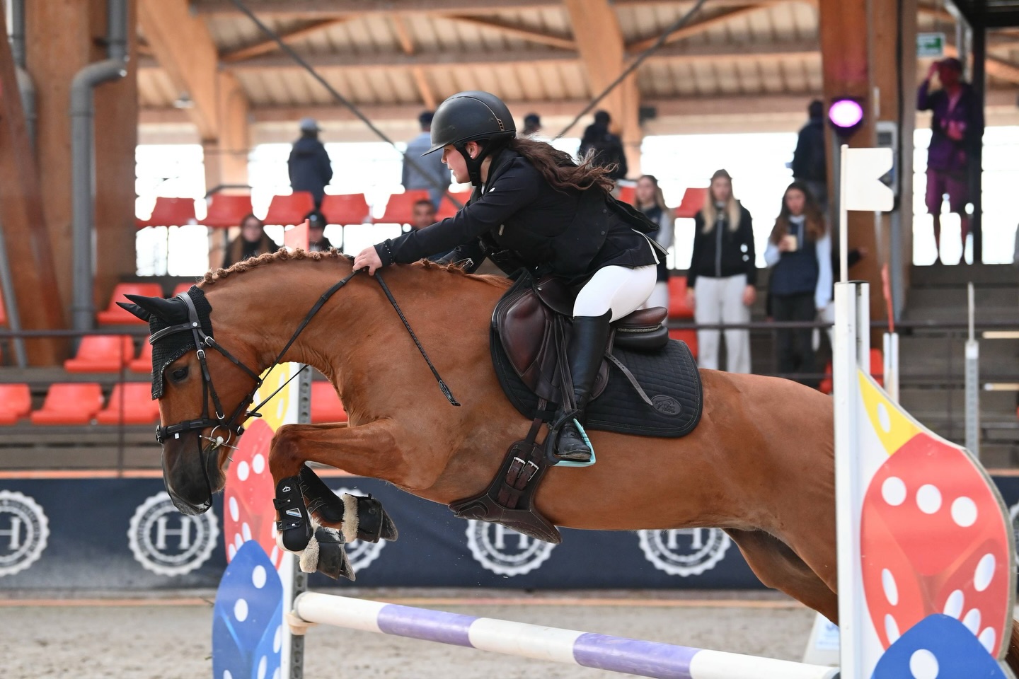 Retour en image sur la Poney 2 de Girly et @yasmine.khrd pour leur première indoor ensemble🤩📸
#cso #concours #poney #poneyfrancaisdeselle