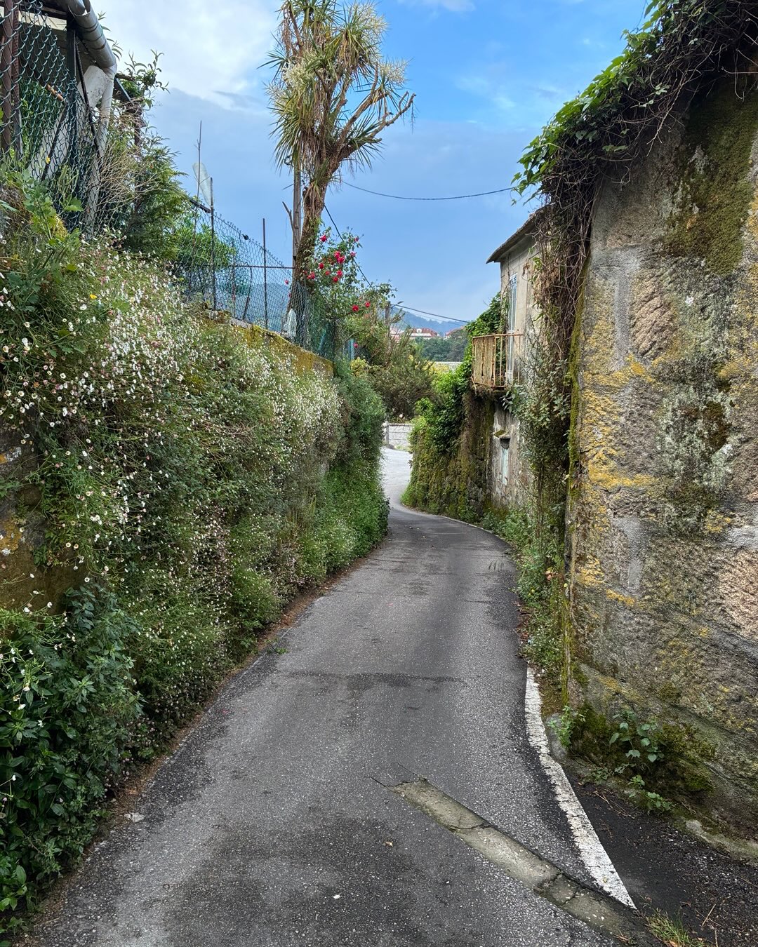 Had an easier walking day today on the Camino. Walked from Arcade to Pontevedra, about 13km. Had time to visit the local museum and explore this town dating baa as close to Roman times.