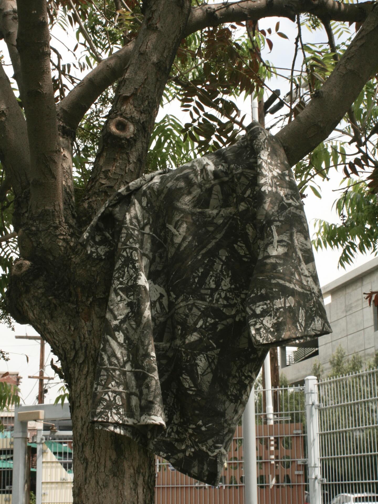 Can you spot the camo tee? 👀🌳
If you can spot it, you need to cop it 👀🔥
#eightyeightbrand #losangeles #camoshirt #summer #newarrivals