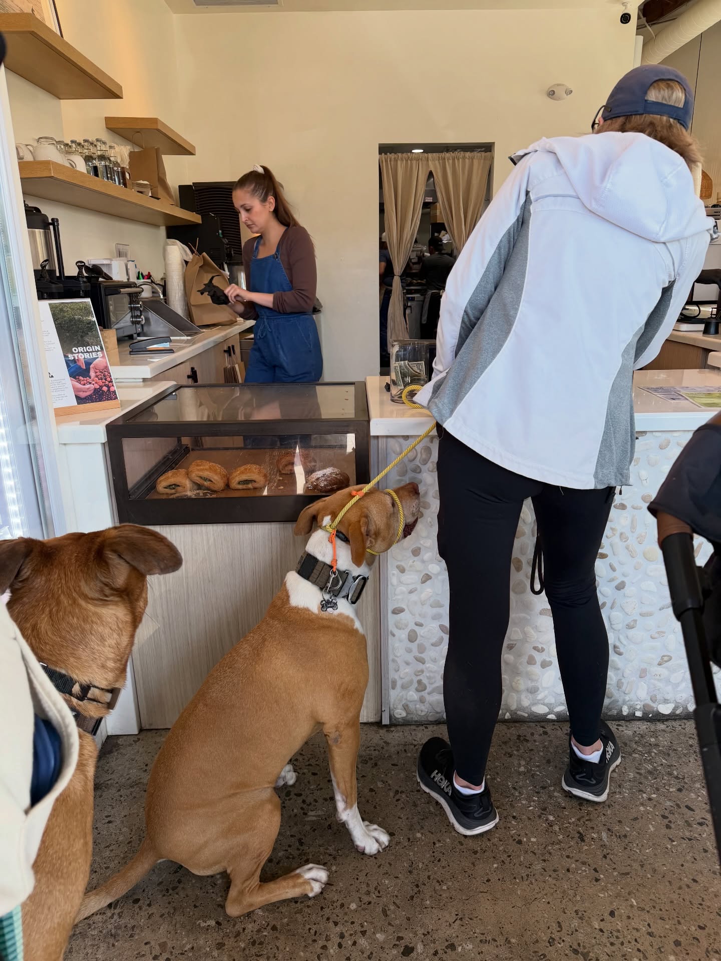 Patiently waiting for mum to order my puppaccino after the BB / @nudaecoffee Pack Walk. 😄 Good boy @dakotathe_d.o.g !!