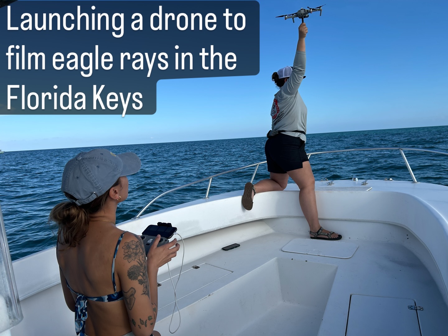 Fantastic day on the water filming #eagleray in the @floridakeysnms. We launch a #drone and follow a focal individual to identify the habitat that it utilizes as it swims and forages. This is part of @jordanwaldron #dissertation #research in @fauscience #marinebiology. Thanks to @colganfoundation for supporting research by these women in stem. @dusky_boats