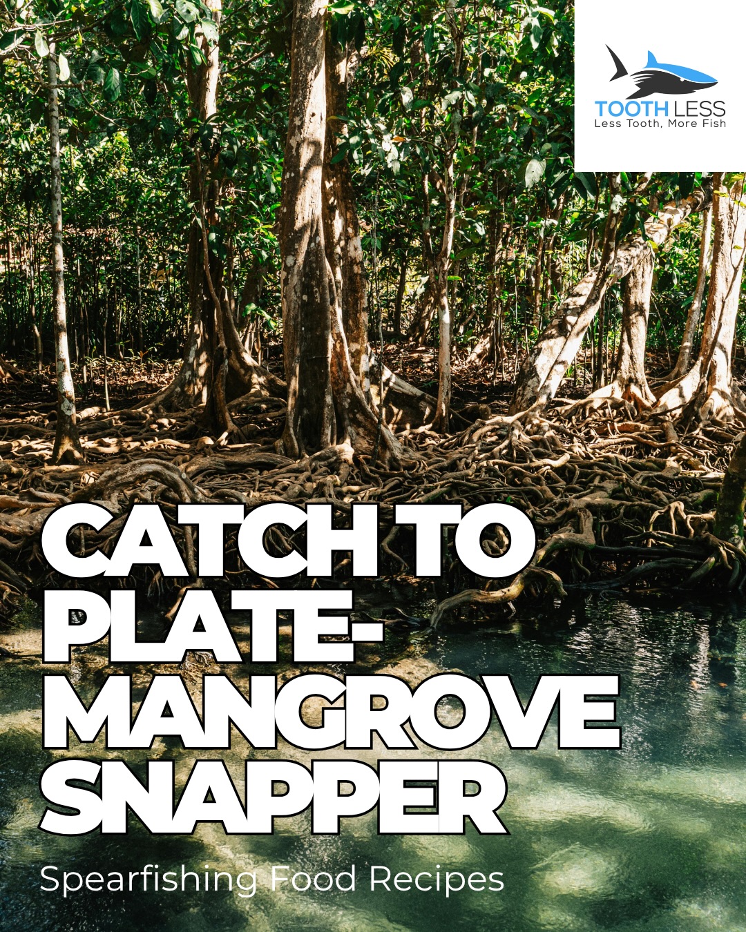Mangrove runs and fresh tacos 🌮😮💨
Nothing beats landing a Mangrove Snapper back in the trees and turning it into blackened tacos the same day! Check out this recipe for your next catch ⬆️
#spearo #speargun #spearfishing #spearfishinglife