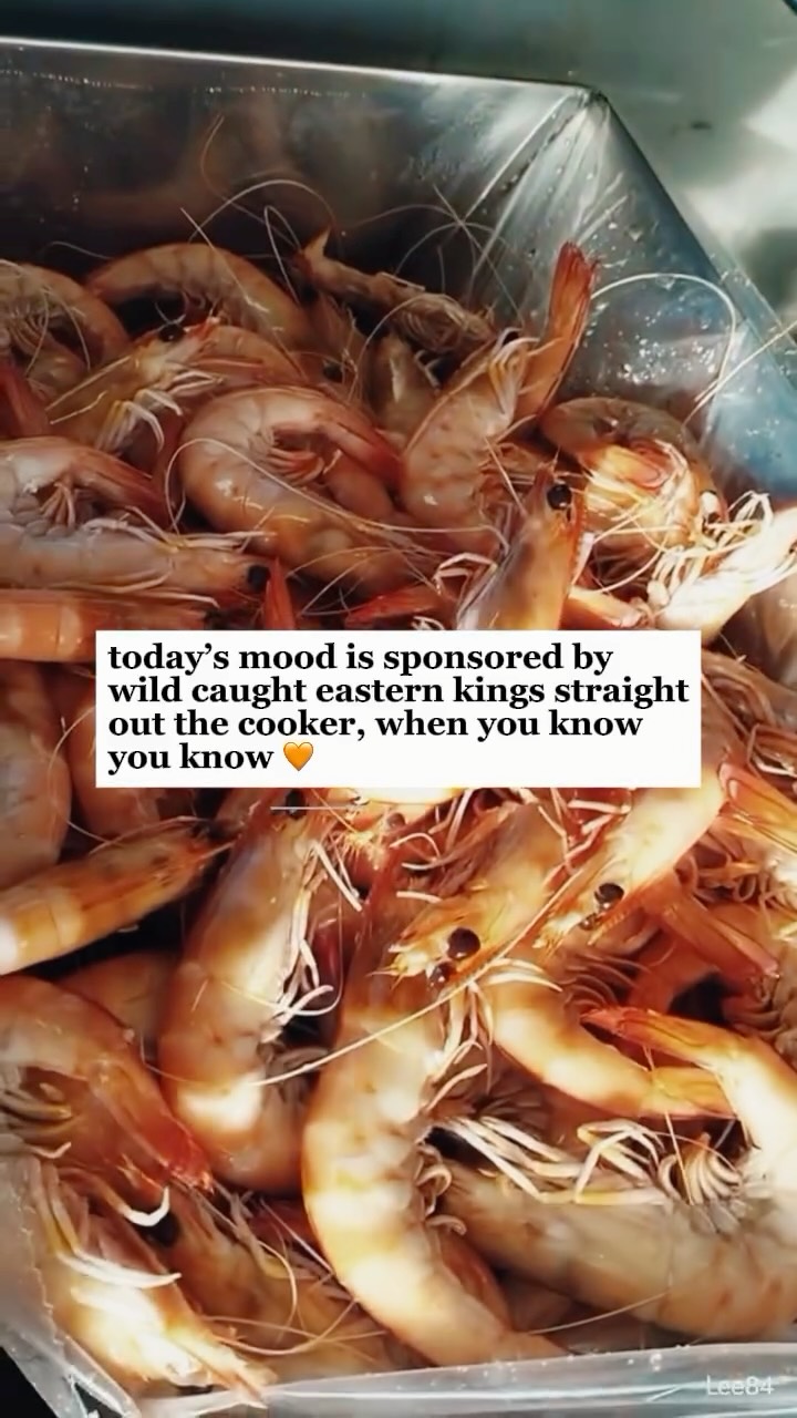 Cooked at sea just hits different. 🦐 ⭐️
If you have ever tasted a cooked king prawn fresh out of the cooker onboard a trawler at sea then you are one of the lucky ones!
Flavour at its peak - that’s why we snap freeze at minus 40 to lock in that just caught, just cooked taste.
#kingprawn #sunshinecoast #queenslandseafood #wildcaught #seafoodlovers