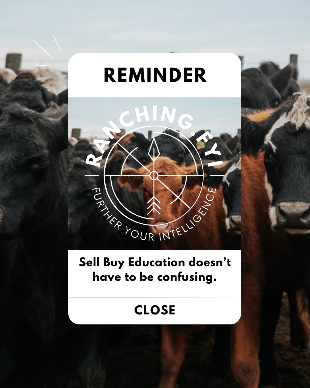 Sell ➧Buy doesn’t have to be confusing.
Somewhere along the way, people decided this had to be complicated. Big words. Complex charts. Overwhelming explanations.
And what happens?
Most ranchers shut down… or go back to doing what they’ve always done.
But here’s the truth:
Sell ➧Buy is simple.
Not easy,but simple.
The problem isn’t the concept.
It’s how it’s been taught.
At Ranching.FYI, we strip it down and make you use it.
In real time. With real numbers. Until it clicks.
Because confusion doesn’t build confidence.
Clarity does.
What part of Sell ➧Buy has felt the most confusing to you? Drop it below 👇
Follow @Ranching.FYI if you’re ready to finally understand it—and actually use it on your ranch.
#ranchingfyi #sim2win #sellbuy #ranchingeducation #decisionmaking
