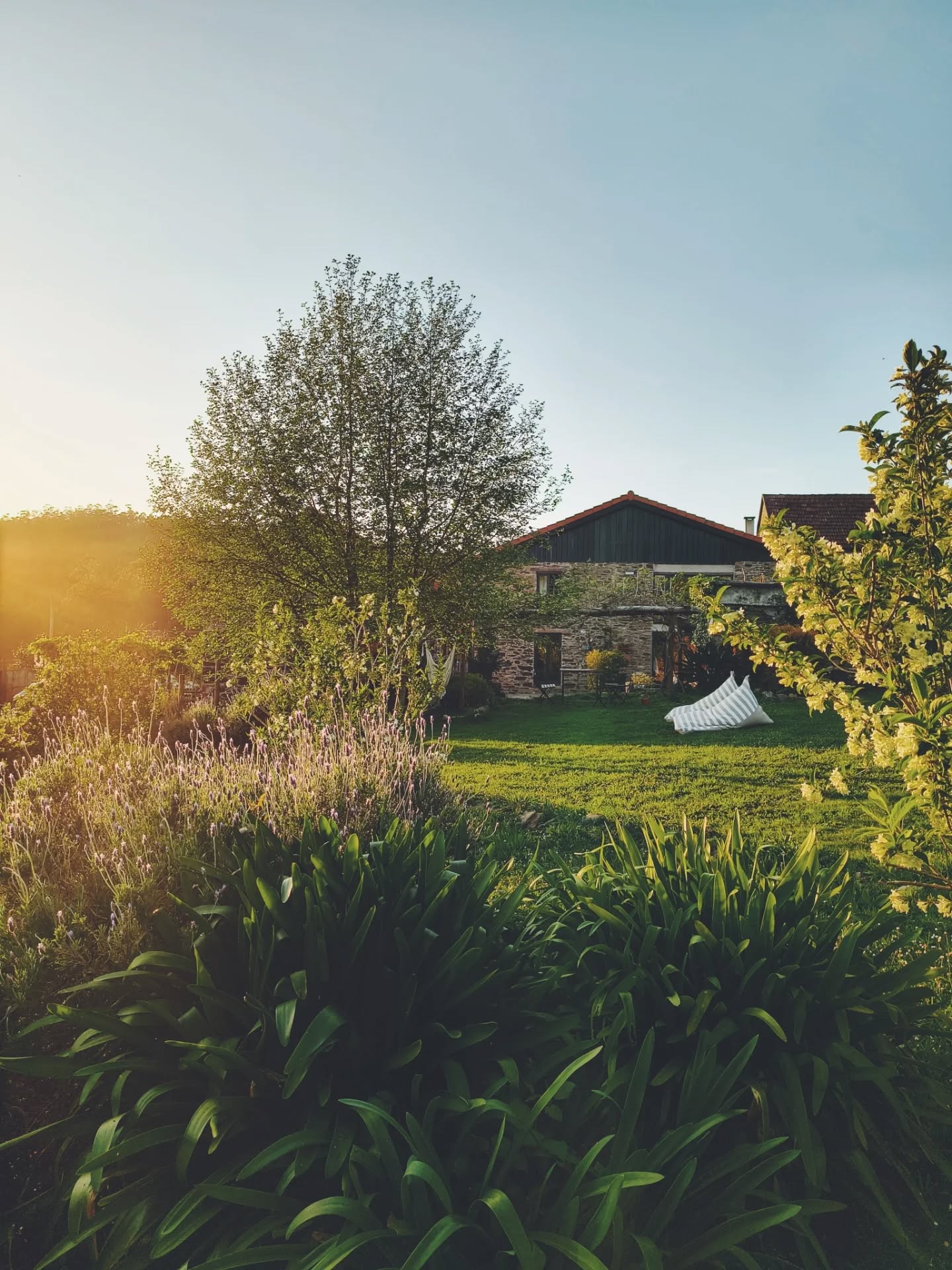 Spring is the most stunning season in our garden 🌸 Plenty of flowers, life and colors 🤍 Are you coming this spring?
Primavera es la estación más espectacular en nuestro jardín 🌸 Miles de flores, de vida y de colores 🤍 Nos vemos en primavera?
#casakukui #flowers #spring #galicia