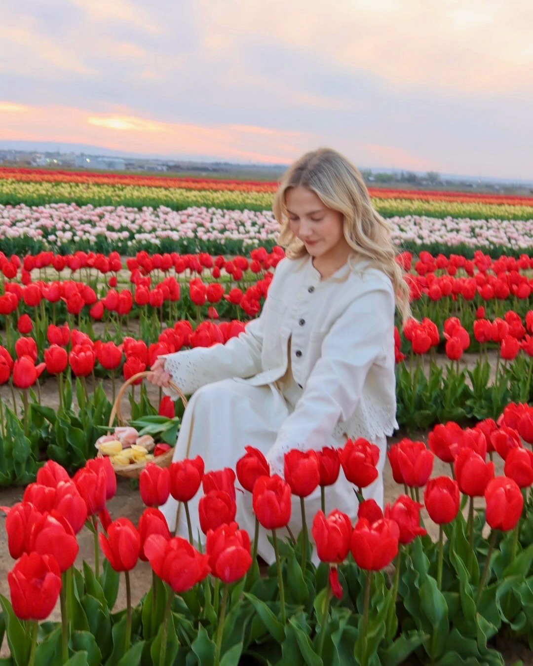 🚨💐 Time is running out! Friday - Sunday are the final days to experience Inland Northwest Tulip Festival at Palmer's Adventure Farm. We still have tons of beautiful blooms and are expecting amazing weather.
Festival happenings?
🌷 Tulips
🚂 Train rides, slides, jumping pillows, and other attractions
🐮 Farm animal friends
📷 Spring photo ops
🥤 Gourmet sodas
🍔 Festival food and desserts
...and more!
Plan your visit: palmersadventurefarm.com/admission
🚙 We are located in Moses Lake, Washington. Just a short drive from Spokane, Wenatchee, Ephrata, Othello, And The Tri-Cities!