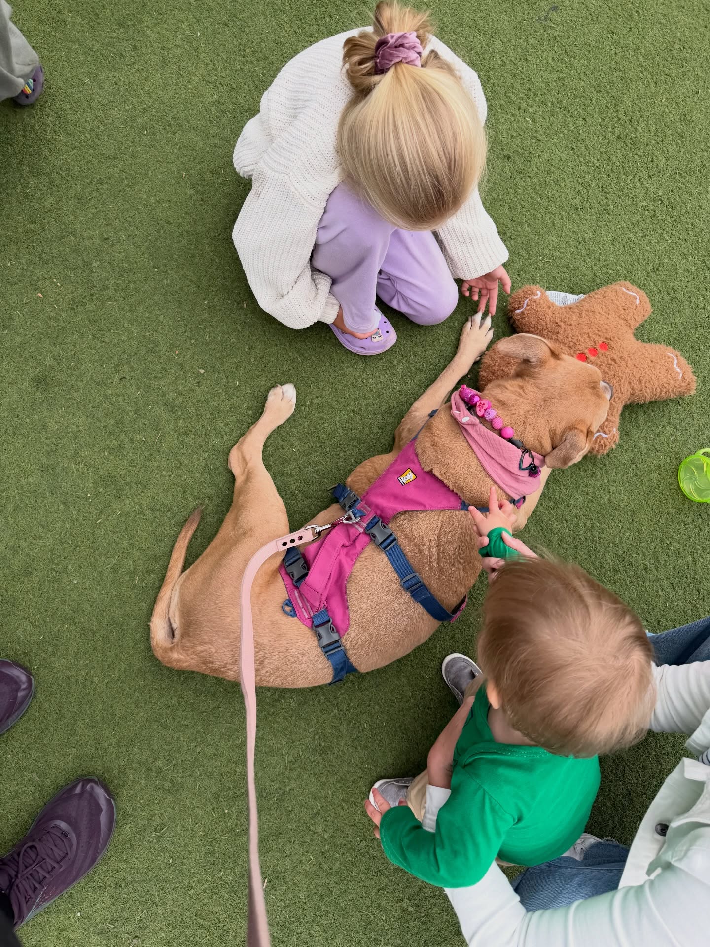 Ginger & friends at @long_beach_pet_fair 🥰