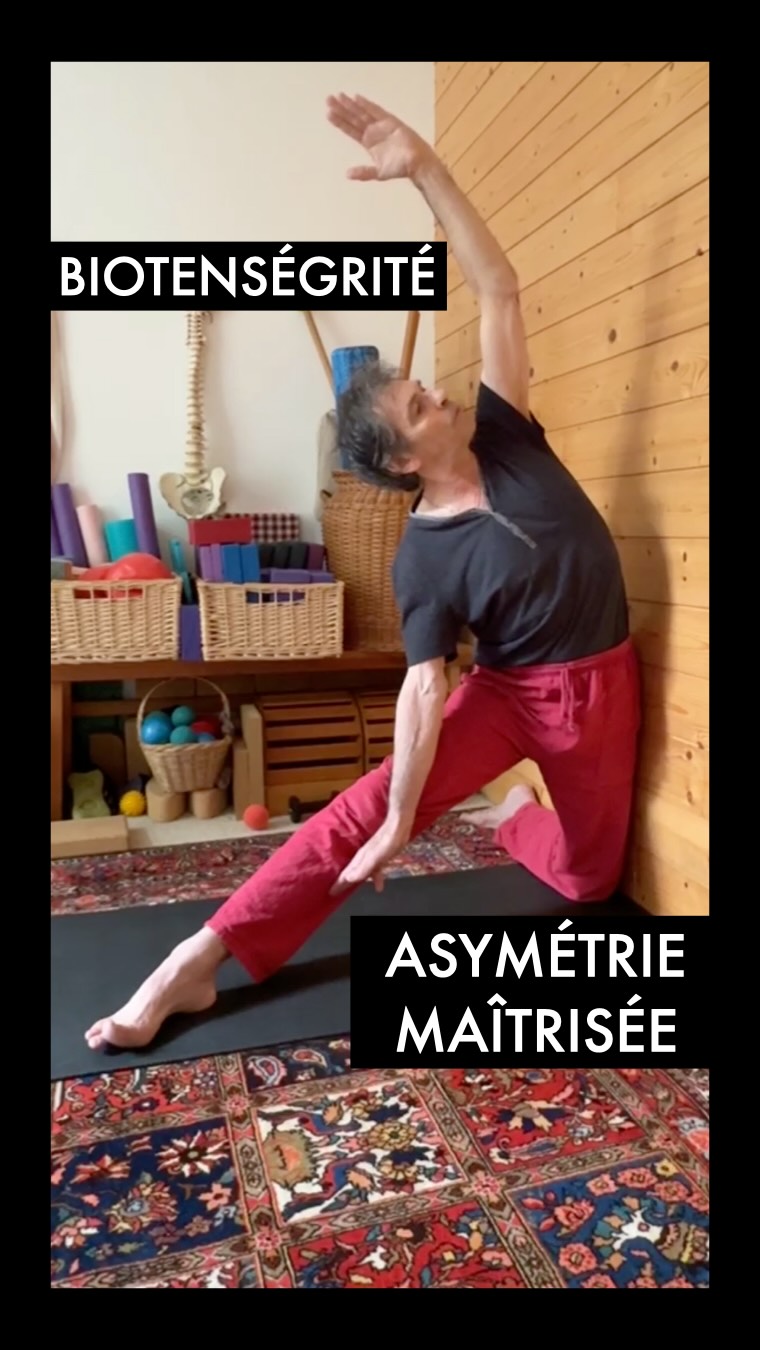 L’asymétrie au service de l’axe : Parighasana 🏛️✨
Dans ce bilan postural Yoga individuel, Serge nous montre les secrets de la posture du « Pêne » (ou du Verrou).
C’est une posture asymétrique puissante, mais attention : sans une compréhension fine de la biomécanique, on risque de s’effondrer plutôt que de s’élever.
Les clés de Serge pour une pratique sûre :
1 Le bassin reste de face : On ne « vrille » pas la base.
2 La poussée latérale : La jambe doit activement pousser vers le mur (ou le sol) pour créer la force de réaction.
3 Le pivot par le coude : C’est le coude qui s’élève pour ouvrir l’espace intercostal, tandis que la main sur la jambe crée la rotation.
C’est ici que l’on vit l’expérience réelle de la biotenségrité : l’équilibre des tensions qui place correctement l’articulation au lieu de l’écraser. 🎈
⚠️ Note importante : Cette posture est extraordinaire pour les attitudes scoliotiques, mais elle demande une grande maîtrise. Sur une scoliose structurelle, un accompagnement expert est indispensable pour ne pas aggraver les courbures.
Pratiquer avec l’image d’Héraclès en tête : la force, la stabilité et l’espace. 🏹✨
Envie d’aller plus loin dans la compréhension de ces ajustements ?
Découvrez notre approche précise dans la Formation Yogathérapie Posturale.
👉 Toutes les infos en lien dans notre bio ou écrivez « INFO » en commentaire !
Cath et Serge
#Yogatherapie #Parighasana #Biomécanique #Scoliose #Posturo