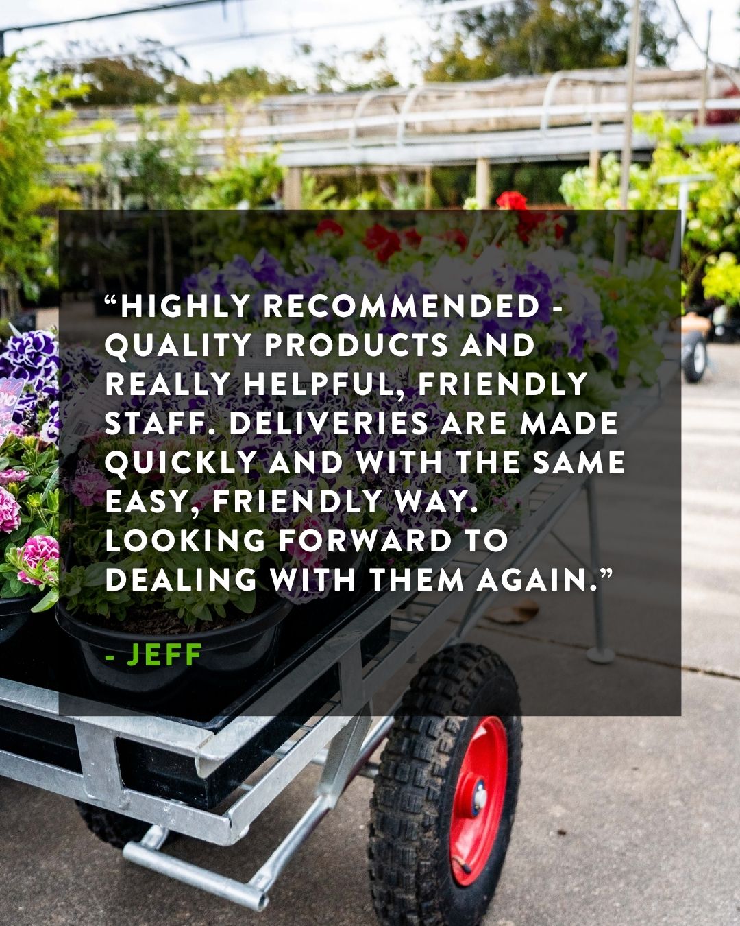 Thanks Jeff, that means a lot to the whole team.
If you've been thinking about a delivery, the truck runs 7 days across the Macedon Ranges. Come in, give us a call, or order through the website.
#macedonnursery #macedonranges #localdelivery