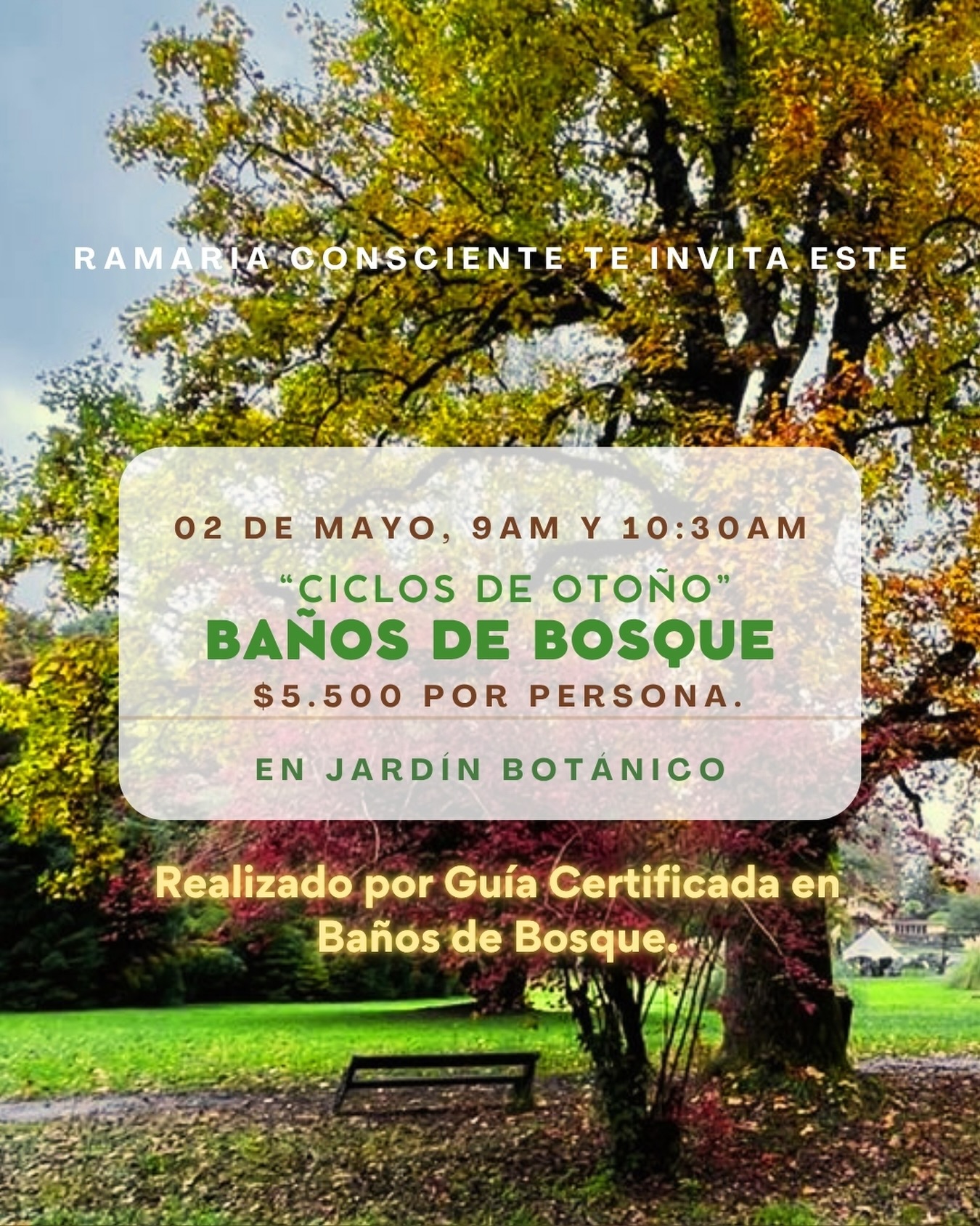 🍂 Ciclos de Otoño – Baño de Bosque (2° versión) 🍂
El otoño nos invita a soltar, a bajar el ritmo y a reconectar con lo esencial…
Te invitamos a vivir una experiencia de baño de bosque consciente, donde podrás pausar, respirar profundo y volver a ti, en un entorno natural que sostiene y calma 🌿
Será un espacio de conexión con la naturaleza, regulación emocional y bienestar, guiado desde una mirada respetuosa y consciente.
✨ Fecha: 2 de mayo
🕘 Horarios: Primer Grupo: 09:00 hrs y Segundo Grupo:10:30 hrs
💰 Valor: $5.500 por persona
Cupos limitados.
🌱 No necesitas experiencia previa, solo disposición a regalarte este momento.
📩 Inscripciones por link en descripción https://forms.gle/hJazxxXCNRjXLtBn7
#BañoDeBosque #CiclosDeOtoño #Autocuidado #BienestarEmocional #RamariaConsciente