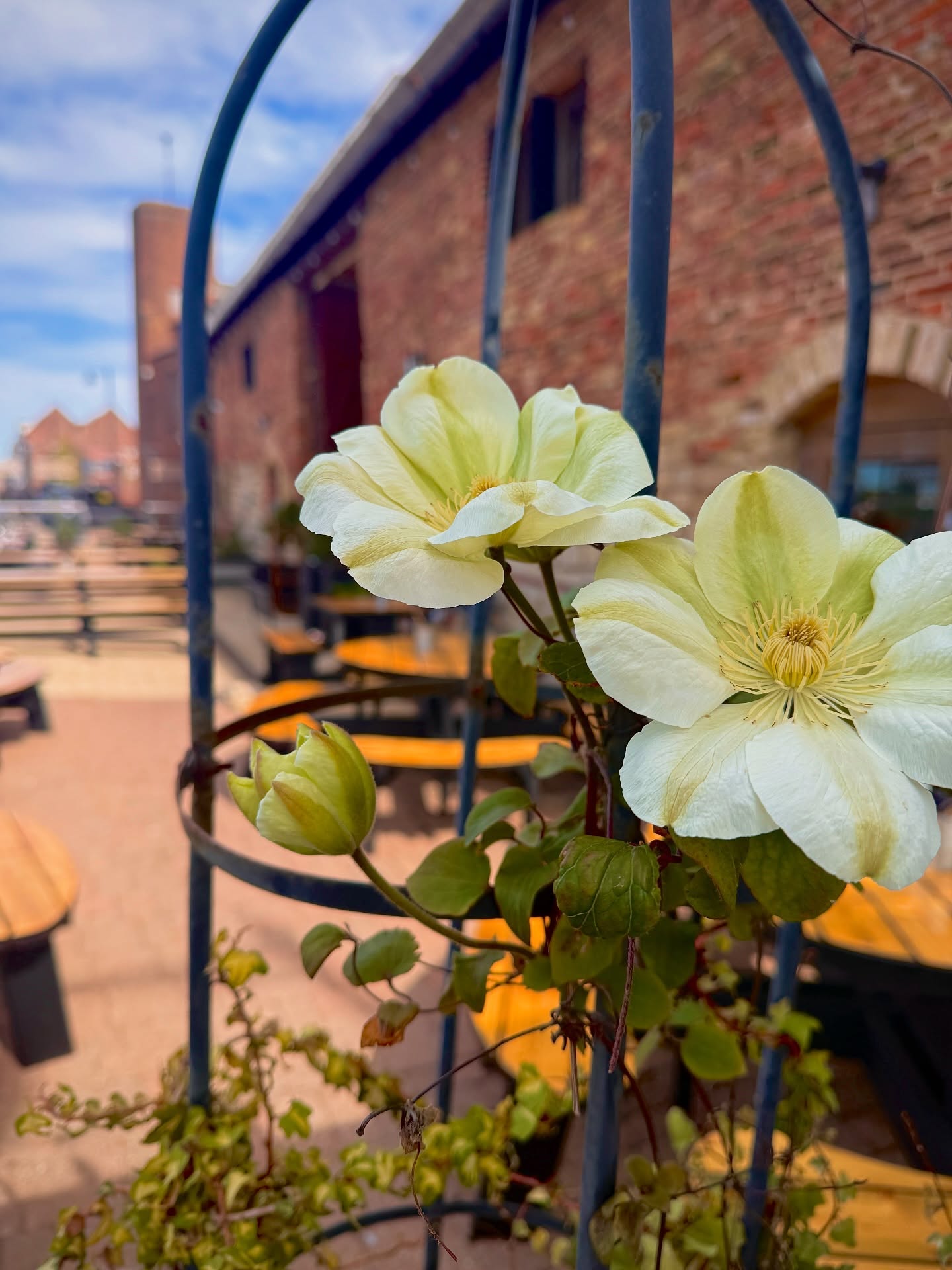 Spring vibes only 🌸✨
Good food. Good drinks. Good company. 🍸 🥘 💕
