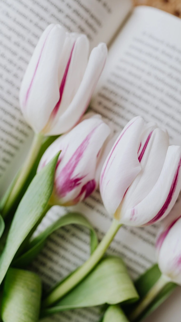 Tu te reconnais ? 😅
Quelques jours avant tes règles, tout t’agace : les bruits, les gens, ton mec qui respire trop fort, les imprévus, ta charge mentale…
En phase lutéale (après l’ovulation), tes hormones changent :
- la progestérone augmente puis chute avant les règles
- les œstrogènes diminuent
- la sérotonine (hormones du bonheur) peut aussi fluctuer
Résultat ?
plus de fatigue
hypersensibilité émotionnelle
irritabilité
fringales et variations d’énergie
sensation d’être moins patiente et plus à fleur de peau
Ton corps mobilise énormément d’énergie pour se préparer à une potentielle grossesse puis gère une chute hormonale si fécondation absente. c’est un vrai bouleversement interne.
Ce n’est pas une excuse pour tout envoyer chi** mais c’est une invitation à adapter ton rythme :
plus de repos
alimentation riche en magnésium, oméga-3 et glucides complexes
moins de stimulation et plus d’écoute de soi
Comprendre son cycle, c’est arrêter de se juger pour enfin collaborer avec son corps.
Dis-moi en commentaire : en phase lutéale, toi aussi tu deviens susceptible ou plutôt fatiguée ? SANTÉ FÉMININE, DIÉTÉTICIENNE, CYCLE FEMININ, SORORITE, FEMMES, FÉMINITÉ, BIEN ÊTRE, SANTÉ, ALIMENTATION, ENDOMETRIOSE, SOPK, SPM, FERTILITÉ, CYCLE MENSTRUEL, RÈGLES, HUMOUR
