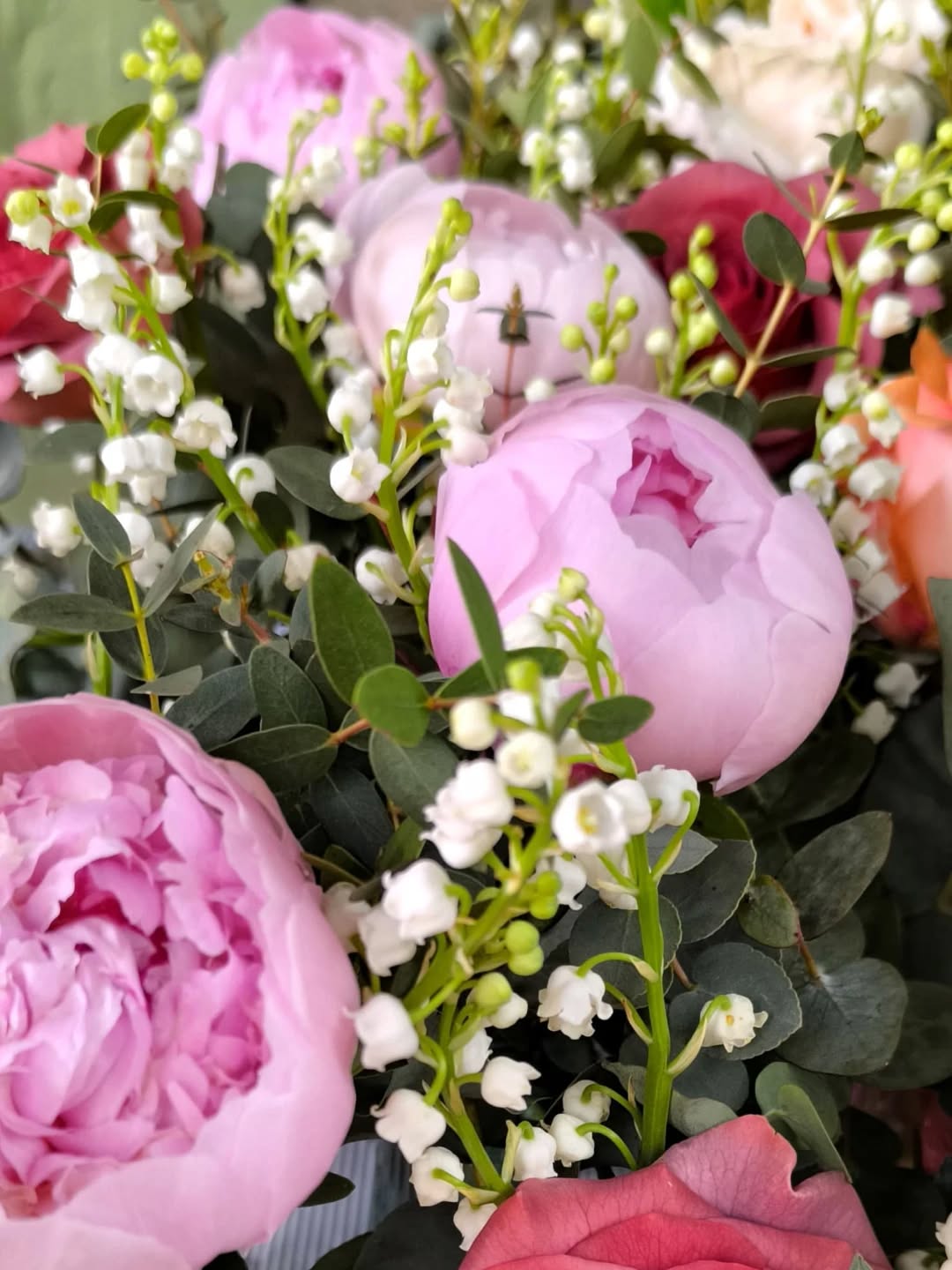 Merci pour ce joli 1er Mai. Il nous reste des brins et quelques pots pour les retardataires du Muguet.
La boutique est ouverte aux horaires habituels ce samedi, mais exceptionnellement fermée ce dimanche.
》Le Jardin de Lucette, 34 rue de la Concorde, 31000 Toulouse, du mardi au dimanche.