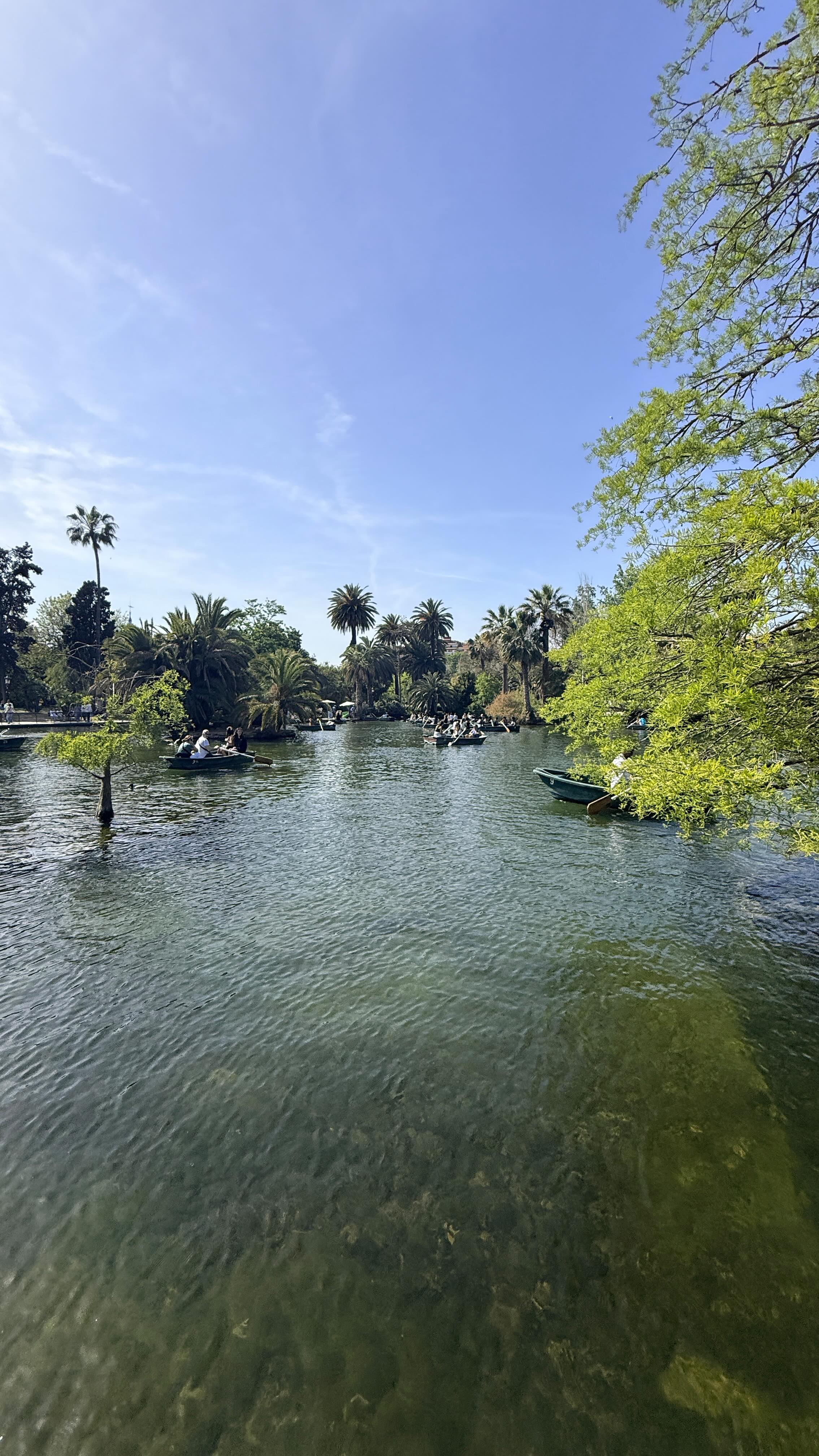 Barcelona hat uns am Freitag kurz gezeigt, worum es im Leben wirklich geht.
Eigentlich war der Plan klar. Morgens fertig machen, dann zur BBFW und durchziehen. Vorher mussten wir noch kurz in die Stores meines Mannes, weil es etwas Geschäftliches zu erledigen gab. Und dann habe ich ganz spontan entschieden: Nein. Heute machen wir blau.
Manchmal darf man sich daran erinnern, dass nicht immer nur Leistung zählt. Die Messe läuft auch Samstag und Sonntag weiter. Aber dieser Tag, dieser Moment, kommt nicht zurück.
Also haben wir Barcelona gelebt. Mein Mann hat mir seine Welt gezeigt. Die Ecke rund um seine Stores, die Straßen, den Rhythmus der Stadt. Wir waren im Park, haben mittags lecker am Hafen gegessen und den Tag einfach treiben lassen. Abends waren wir auf einem Konzert
von @rufusdusol und danach noch auf einem wunderschönen Spaziergang durch die Stadt.
Zwischen Deutschland, der Ostsee und jetzt Barcelona leben wir gerade irgendwie in mehreren Welten gleichzeitig. Und ich merke immer mehr, wie schön es ist, auch mal anzukommen, statt nur zu funktionieren.
Aus genau diesem Tag ist dieses Reel entstanden. Ein Tag ohne Plan, aber mit ganz viel Gefühl.
Und falls ihr mal in Barcelona seid und ein besonderes Mitbringsel sucht, dann schaut unbedingt bei @thebeautifulgrater vorbei. Wunderschöne handgemachte spanische Keramikreiben aus Andalusien, mit viel Liebe gefertigt und wirklich etwas Besonderes für zuhause. Ein echter Geheimtipp!
#brautmode #barcelonastyle #barcelonacity #bridetobe #brautliebe