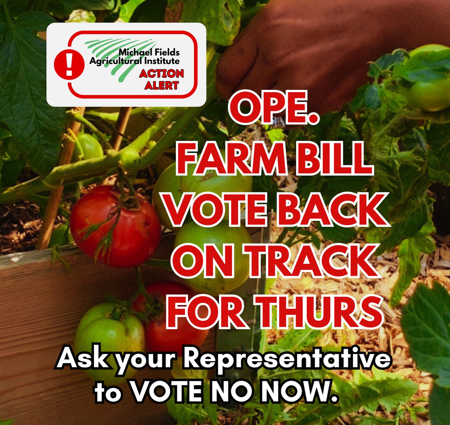 Farm Bill Alert! The vote in the House is now back on for tomorrow, though it had been earlier delayed. The drama around this farm bill - the first to be taken up since 2018 - is warranted. House lawmakers will take up dozens of amendments starting at 9pm tonight.
MFAI has signed on to a letter with several hundred other farm organizations asking Congress to do better than this proposal, which diverts money away from conservation programs, lacks a strong mechanism for getting American farmers’ products to Americans in need, and fails to support small, medium, beginning and diversified farmers. The bill also includes a provision to block lawsuits against pesticide companies and bar local governments from passing pesticide use regulations beyond EPA rules.
Please join us by contacting your representative in the next few hours via email or voicemail.
Find talking points and links at our latest blog: michaelfields.org/blog