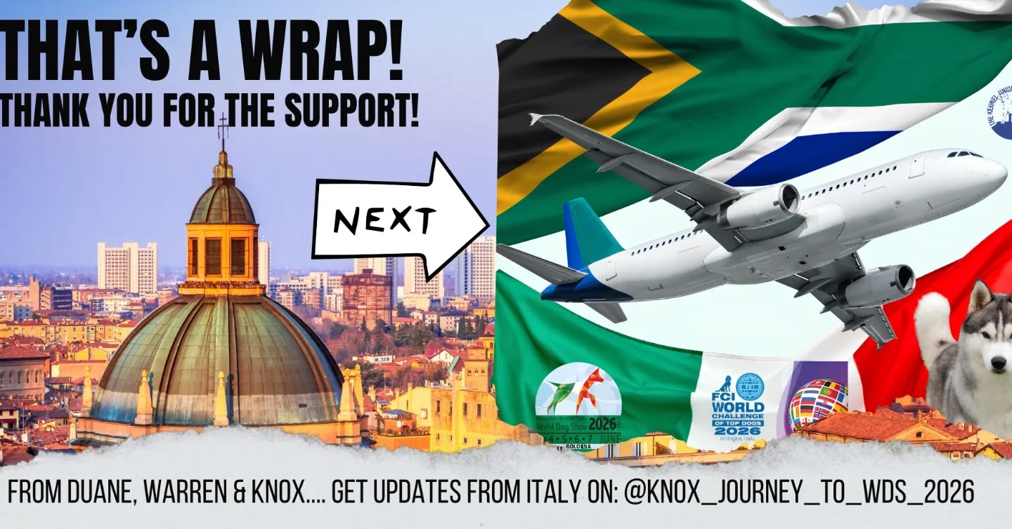Thank you to everyone who supported us.
Next stop ✈️ 🇮🇹
#wds2026🇮🇹 #worldchallengeoftopdogs2026 #teamKnox