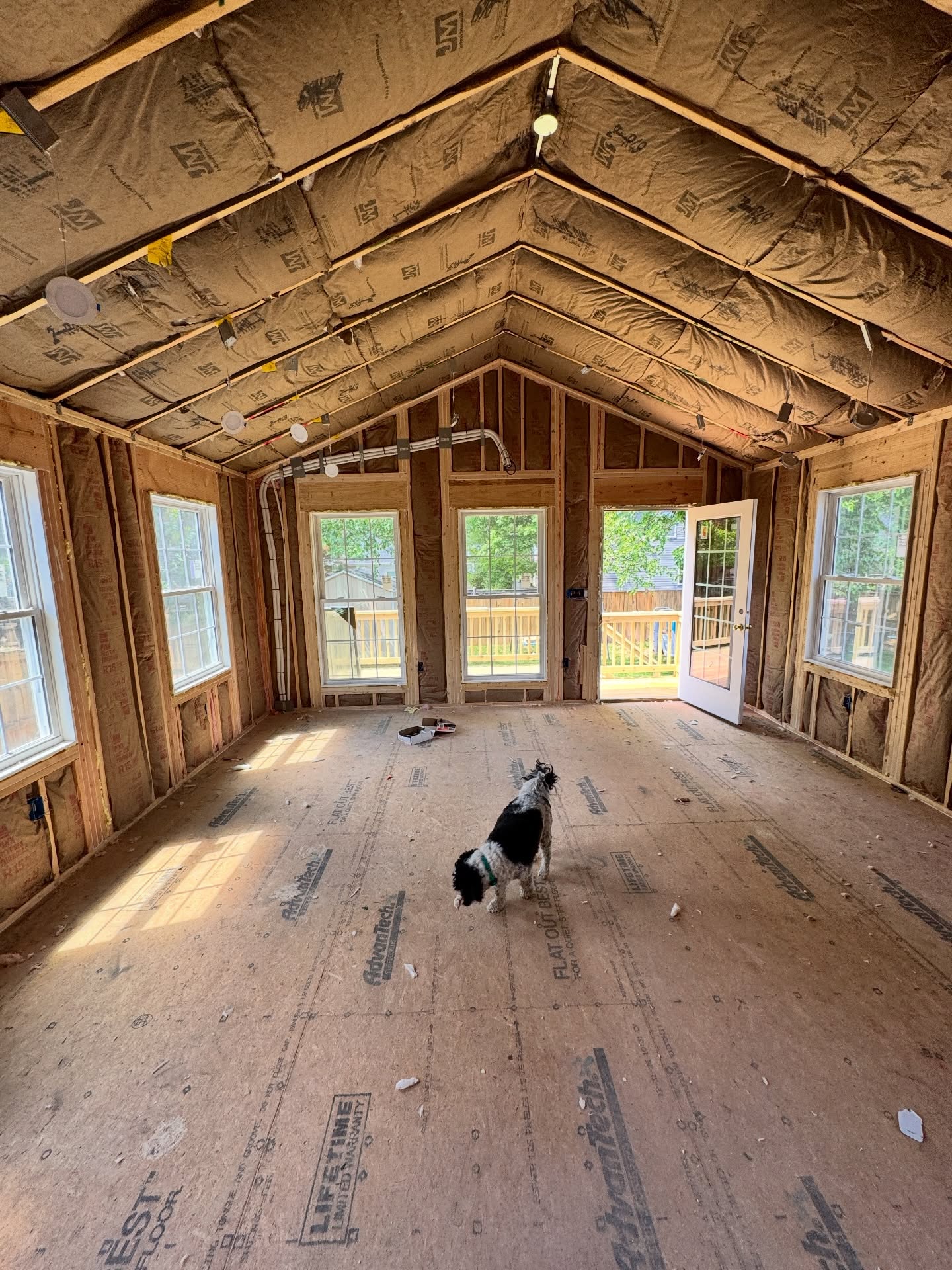 …Another site visit (new great room walkthrough) with Milly 🐾💕 …we have windows & doors 🙌🏼