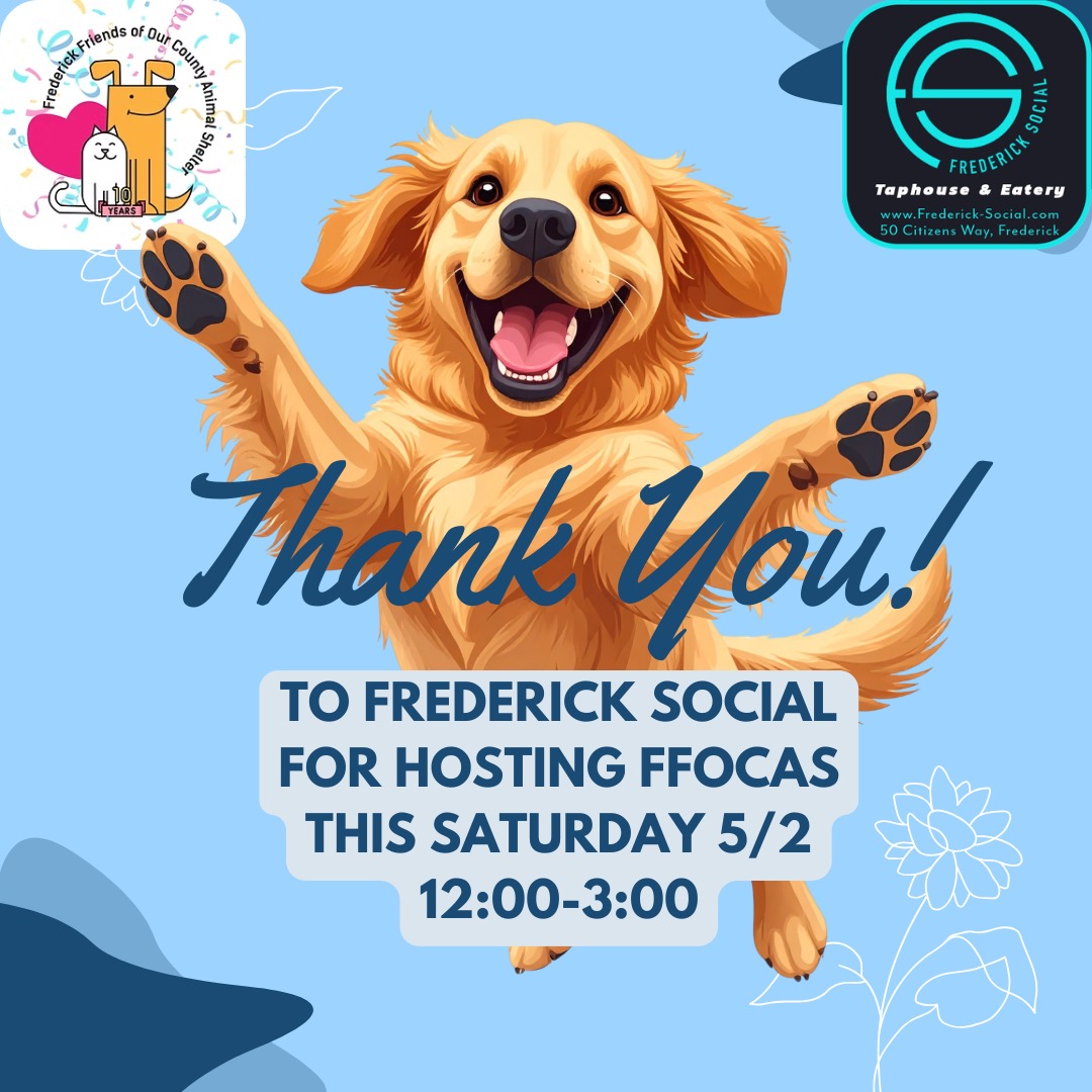 Thank you, Thursday time! Thank you @frederick.social for hosting us this Saturday for The Treat Trail in Downtown Frederick! You and your pup can visit the FFOCAS table from 12:00-3:00 at Frederick Social! See you then!
#treattrail #downtownfrederickmd #frederickmd #mydogdigsdowntown #frederickevents #doglovers #dogpeople #dogs #frederickdogs #shelterdogs #doggos #dogfun @dogfriendlyfrederick