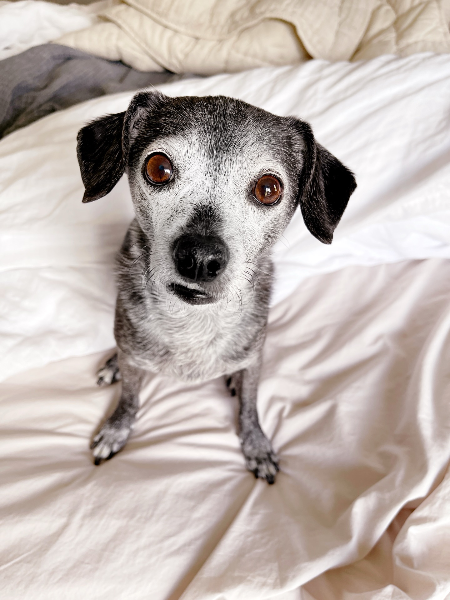 Sundays are for snuggles and snacks. Yet I am seeing neither.