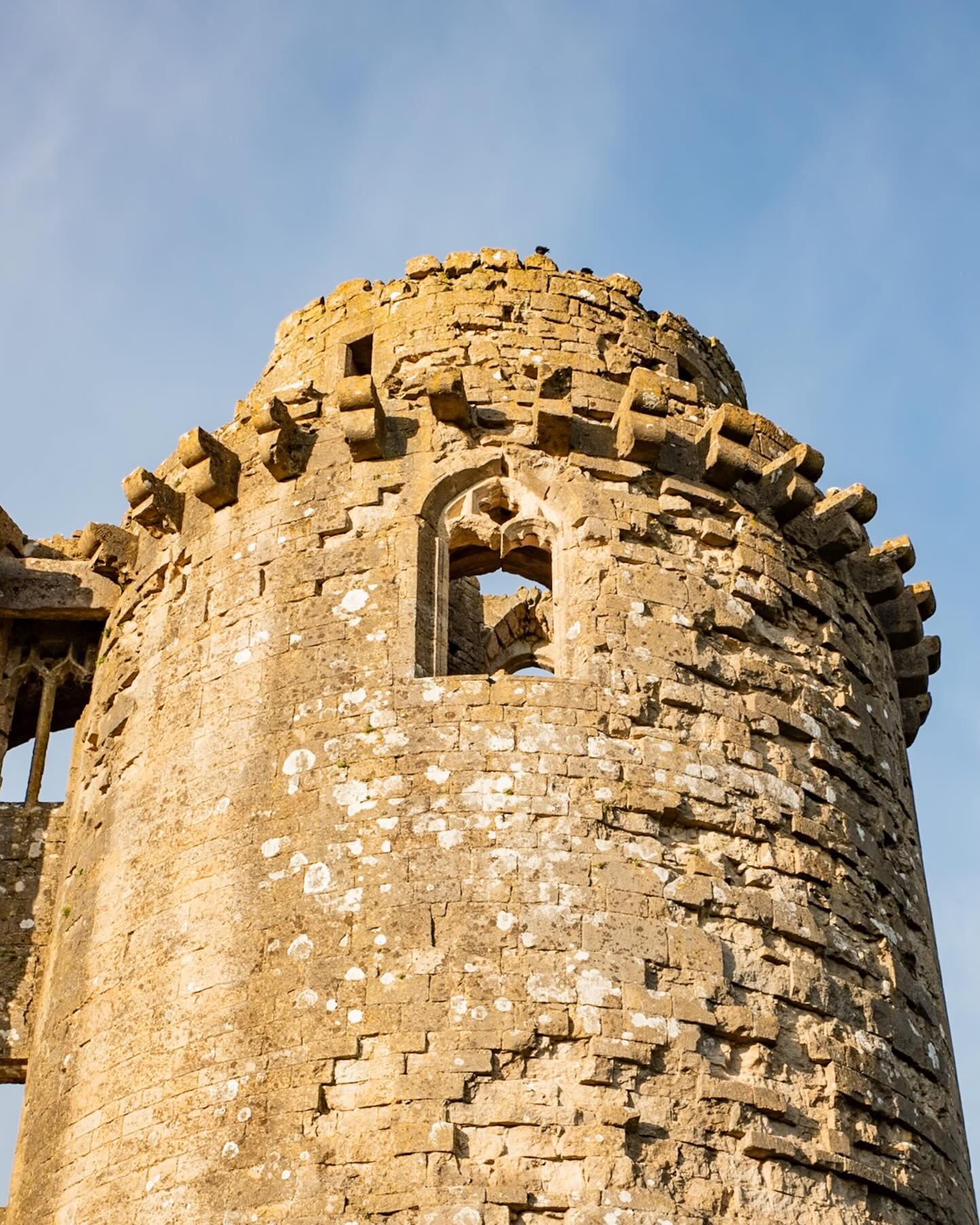 Nunney Castle: evening sun picking out some details. #nunneycastle #nunney #frome #somerset