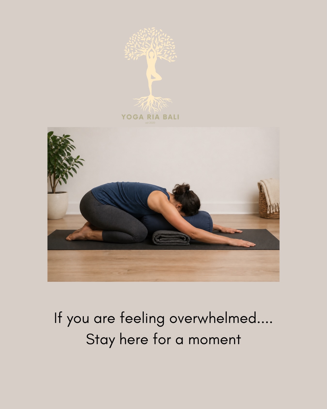 Sometimes the most healing thing…
is not doing more,
but allowing yourself to rest
let the forehead land
let the breath soften
let the body feel held
a quiet return
to yourself
If your body has been asking for a pause…
this is your invitation
In frame - Supported child’s pose
#balasana #childpose #selfcare #returnhome #ubud