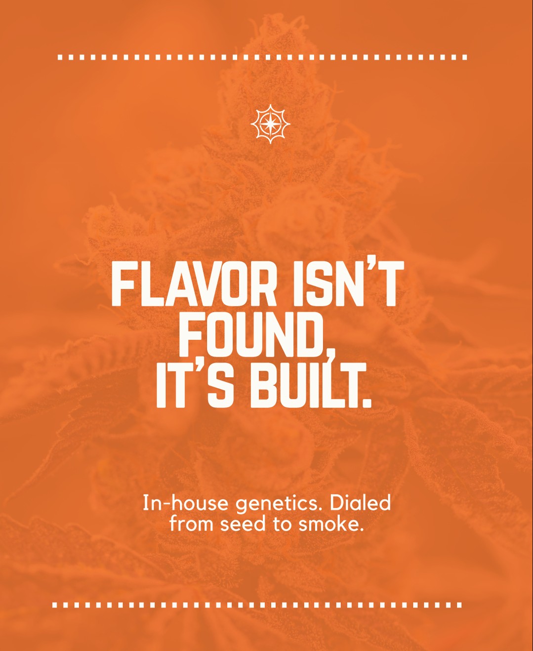 Flavor isn’t luck.
It’s bred, grown, and perfected, so every hit speaks for itself 💨
#RogueNation #InHouseGrown