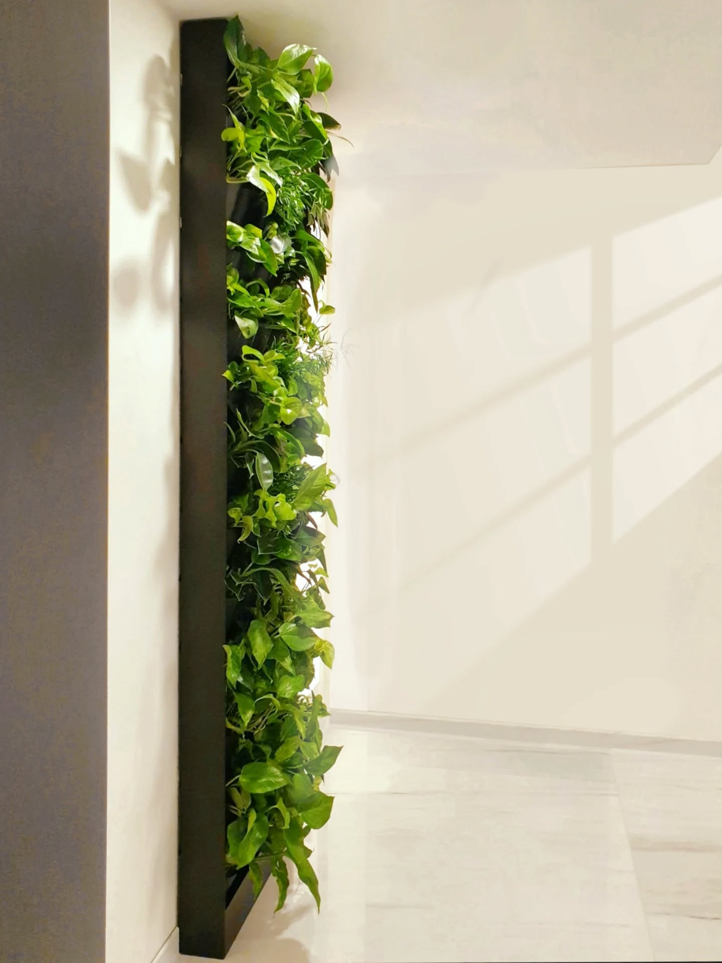 #verticalgarden #livingwall #ziveobrazy #eo