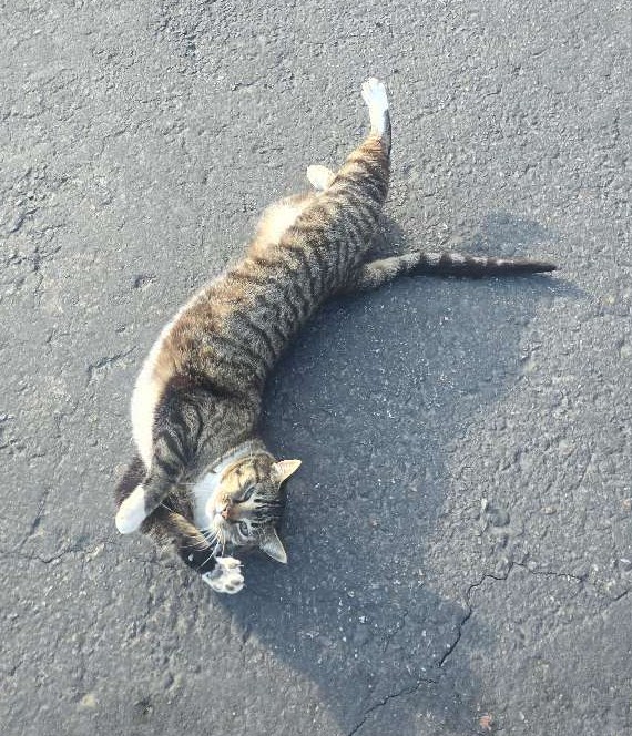 Let's do some morning yoga, shall we? ๐