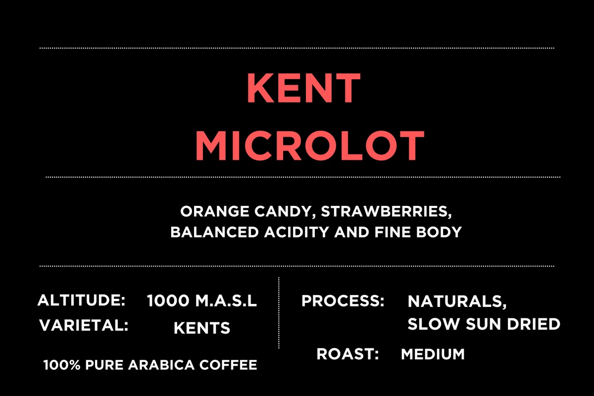Coffee Pairings 🍓☕️
How do you like your Kents ?
Sweet berry notes with orange citrus like sweet acidity in our Agastya Coffee’s Kent pairs smashingly well when had with our strawberry cheesecake !
Let’s us know if your try this combo … the texture of the biscuit crunch which comes through the light creaminess of the mascarpone topped with fresh strawberries is truly a Sensorial delight for an evening coffee this summer break ⛱️☀️😎
Tasting Science, Coffee Flavour Wheel, Tasting Workshops, Coffee Tasting, Food Pairing
