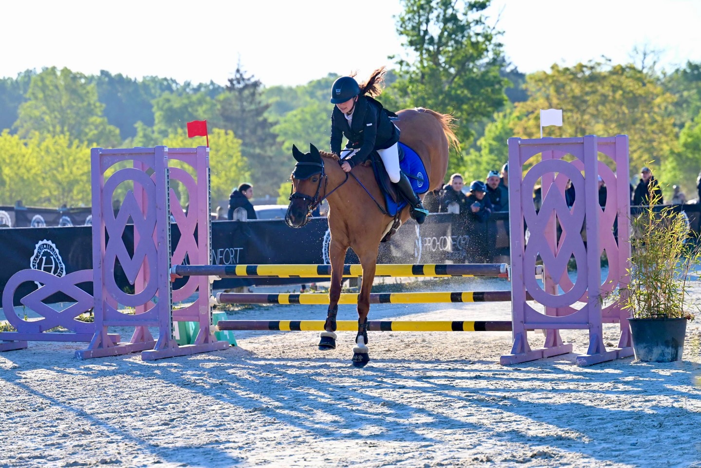 Retour en image de la prepa 80 du Mans Harcour de Girly et @yasmine.khrd 🤩✨
#poneys #concours #cso #pony
