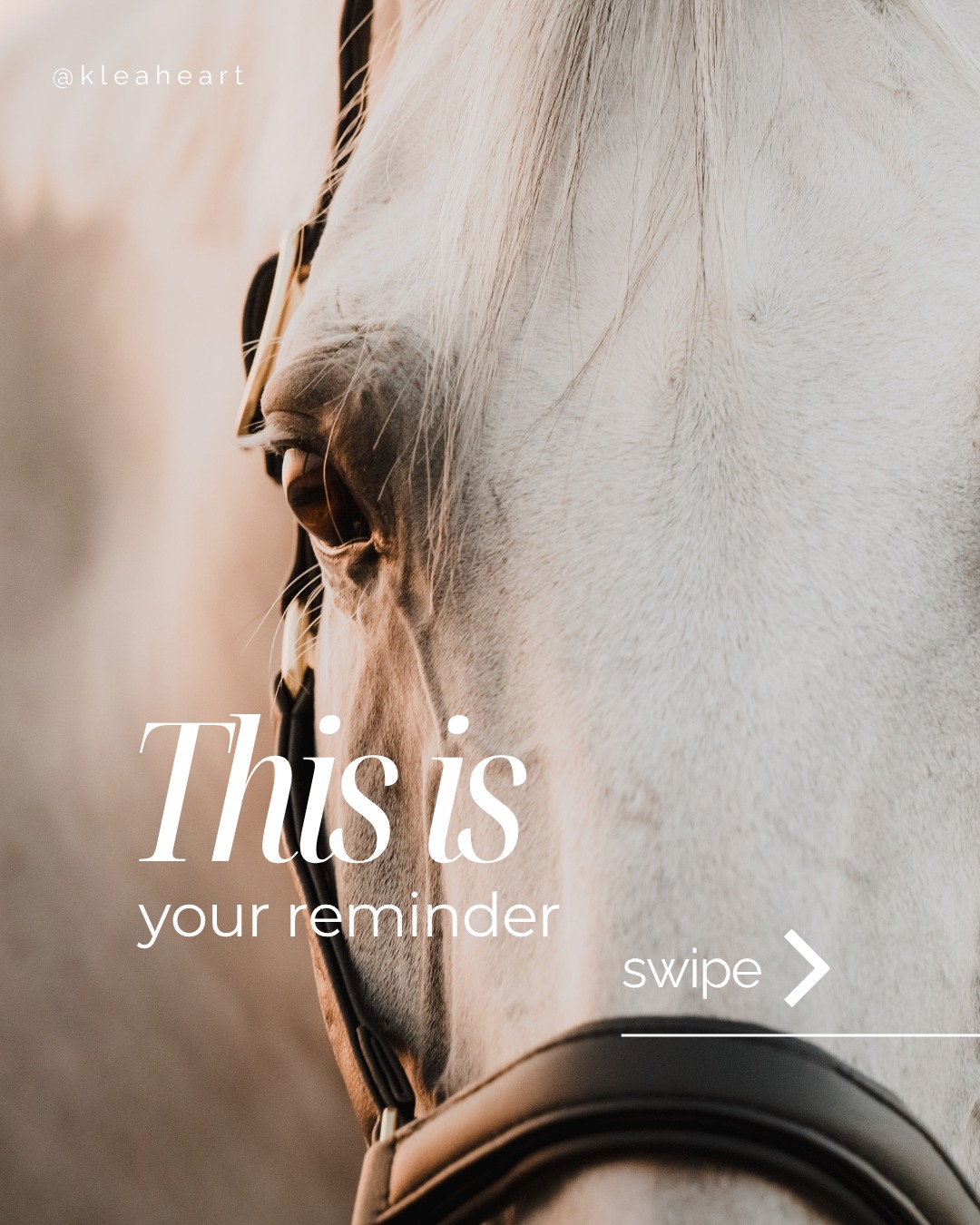 Before you give up — read this first. 🖤
Which slide did you need most today?
A little reminder for every rider:
nothing beautiful is built overnight.
Comment your favorite slide below + tag someone who needs this reminder today ✨
One selected comment will receive a 50 CHF KLEA gift card 🖤
Save this for later.
📸 @lisaelmiger_photographie @mworld_photography
#equestrianlife #horsegirl #ridermindset #luxuryequestrian #horsecommunity
