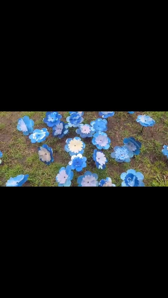 Celebrate Spring and print day in May at the inPrint Studio! Register for our Spring flowers workshop, where you will take cyanotype printing to a new sculptural level. Register on our website (link in bio).
Cyanotype: May Flowers
Saturday, May 2, 2026
11am to 3pm
$75
In this special edition of Cyanotype, we will have a focus on botanicals, and create 3D flowers from our prints to celebrate the Spring! Make these flowers as a lovely gift from the heart for Mother's Day, or just for fun - cyanotypes make for a beautiful paper flower scultpture!
Cyanotype is a photographic printing process, wherein a negative is used to create a blue print from photosensitive materials and light. During this workshop you will learn how to take photos from your camera, convert to negative, then print beautiful cyanotype prints from your cherished photos. Students will also play with objects and stencils to create compositions. All skill levels welcome, we encourage everyone to join us in discovering new modes of artistic expression.
*Please choose and save 1 or 2 photos to work with before our workshop in jpeg format (usb key or you can retrieve through email on our studio laptop); all other materials are included with class fee. Images must be PG-13.
ID: A beautiful garden of cyanotype flowers, planted in a bed of grass, blowing gently in the wind. By inPrint artist Amye St John.
#torontoprintmakers #torontoprintstudio #learncyanotype #torontoartclasses #printdayinmay
