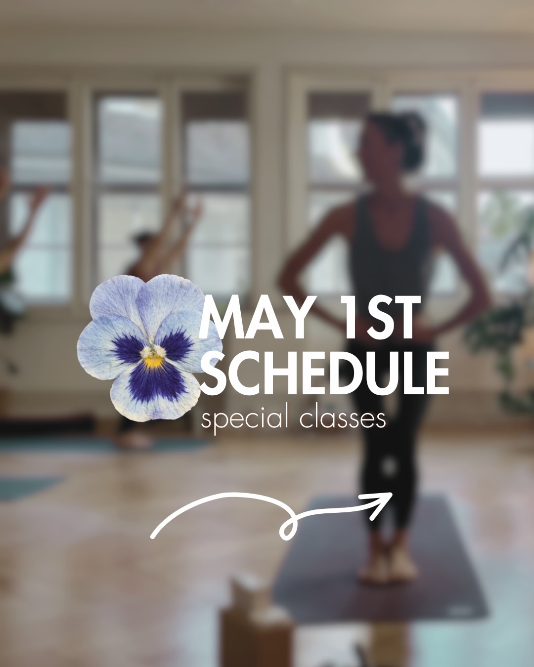 May 1st SPECIAL schedule at Anjali 🪻
A slightly adjusted timetable for the day !
Have a look and join us if you feel like moving and taking a pause.
See you at Anjali Studio.
BOOK on the App or on the website ! 🔗 in bio
🌞