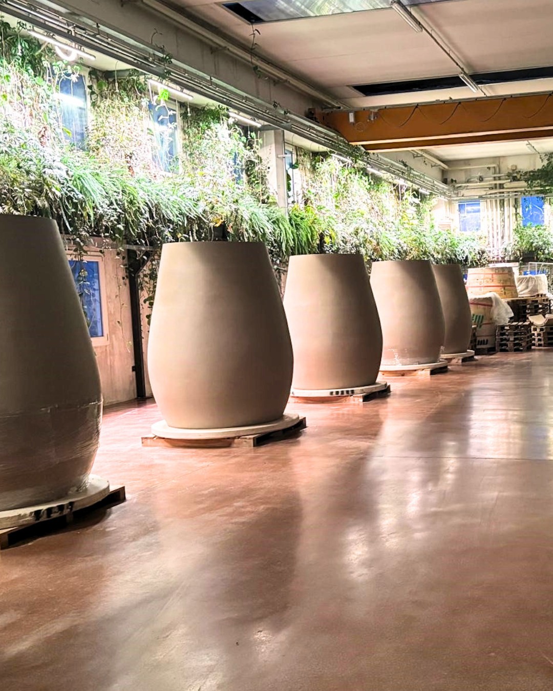 Supplier Story: TAVA Ceramic Amphora & Monolite – Valpolicella
In Valpolicella, a region known for powerful, structured reds, Corte Bravi is exploring a different expression of tradition: one shaped by ceramic.
Working with TAVA amphora and Monolite vessels from Trentino, the Brunelli brothers are rethinking how their native grapes, Corvina, Corvinone, Rondinella, can evolve. TAVA’s ceramic, made from a blend of clay, marl, terracotta, and limestone, offers controlled porosity similar to oak, but without the imprint of wood.
At Corte Bravi, this opens the door to nuance.
🍷 For their Scatto (100% Corvina), the same wine is aged in two amphorae with different porosities: one tighter, one more open. The result? Two parallel expressions: one more mineral and restrained, the other lifted with bright red fruit.
🍇 For Valpolicella Classico and Amarone, TAVA vessels sit alongside oak, adding freshness, vibrancy, and a distinct red-fruited energy to wines traditionally known for depth and intensity.
From 750L amphora to the newer Monolite Grés, TAVA’s role isn’t to replace tradition, but to expand it.
A different perspective on Valpolicella, shaped by material, intention, and curiosity.